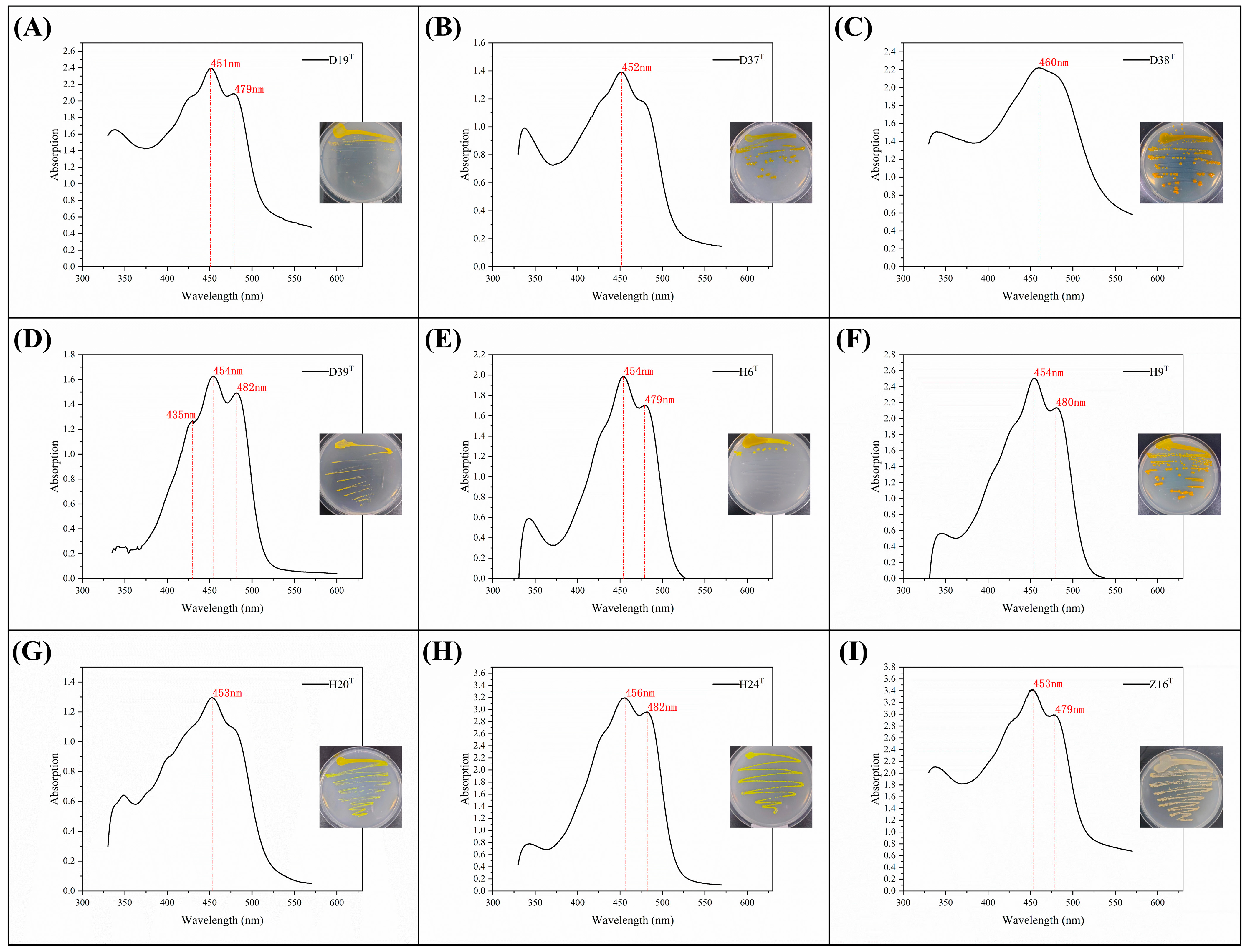 Jmse 12 00099 g001 Jmse 12 00099 g001