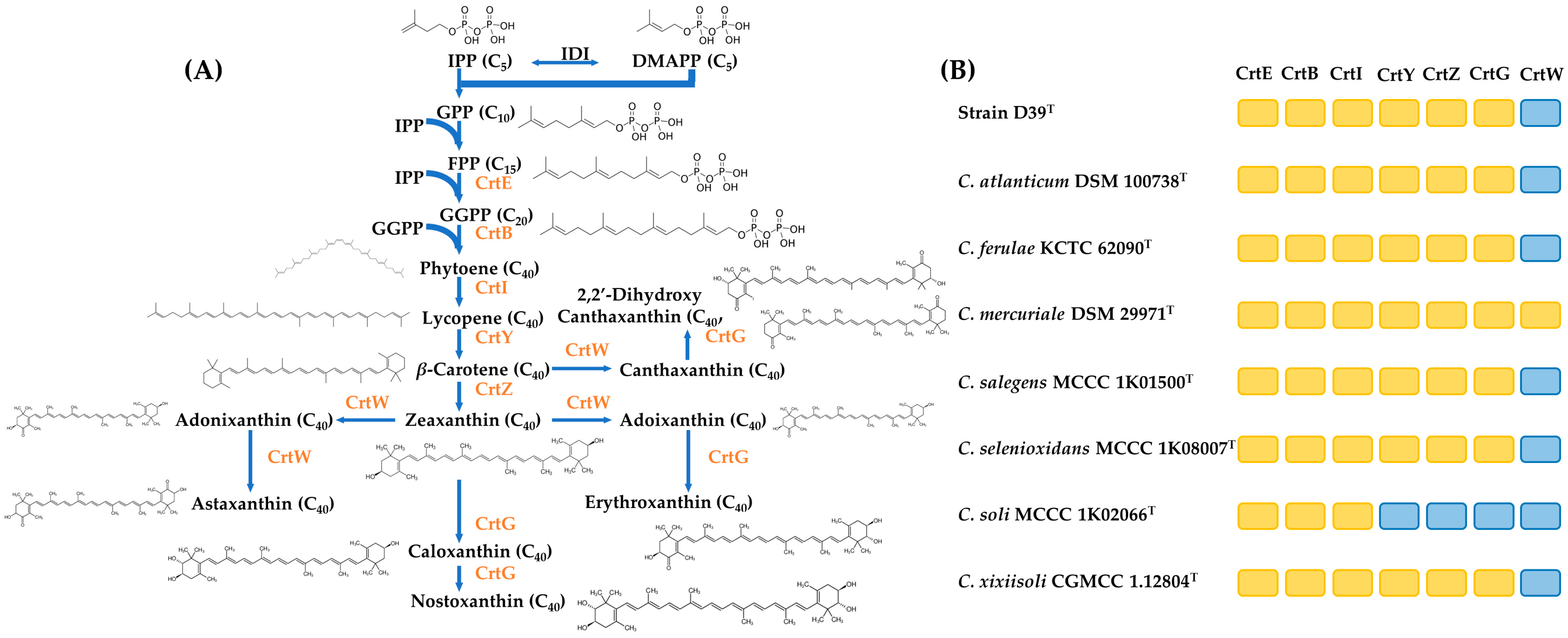 Jmse 12 00099 g006 Jmse 12 00099 g006