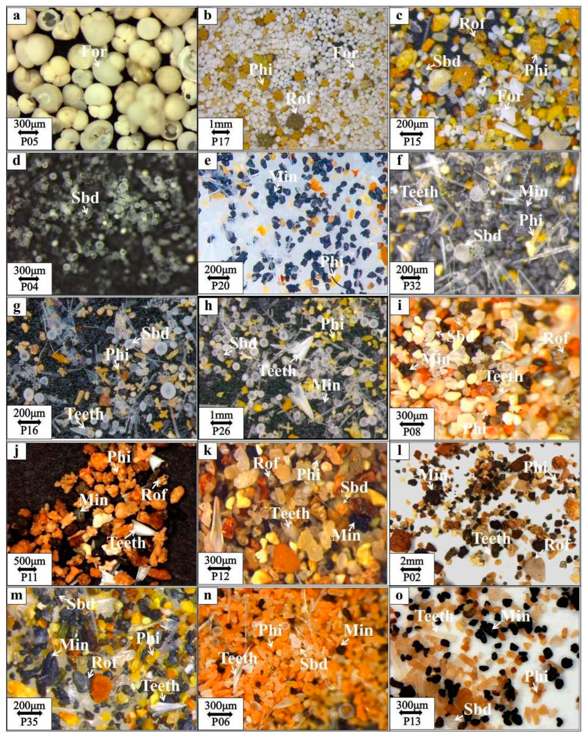 Jmse 12 00117 g002 Jmse 12 00117 g002