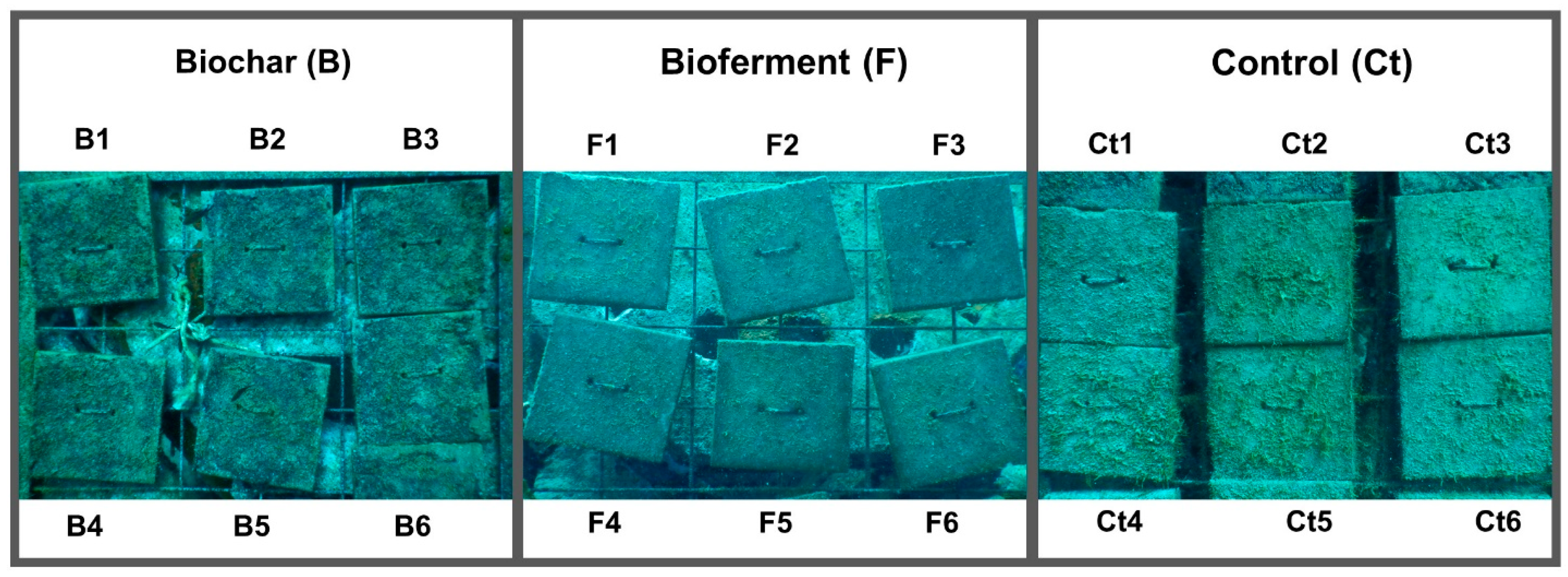 Jmse 12 00169 g001 Jmse 12 00169 g001
