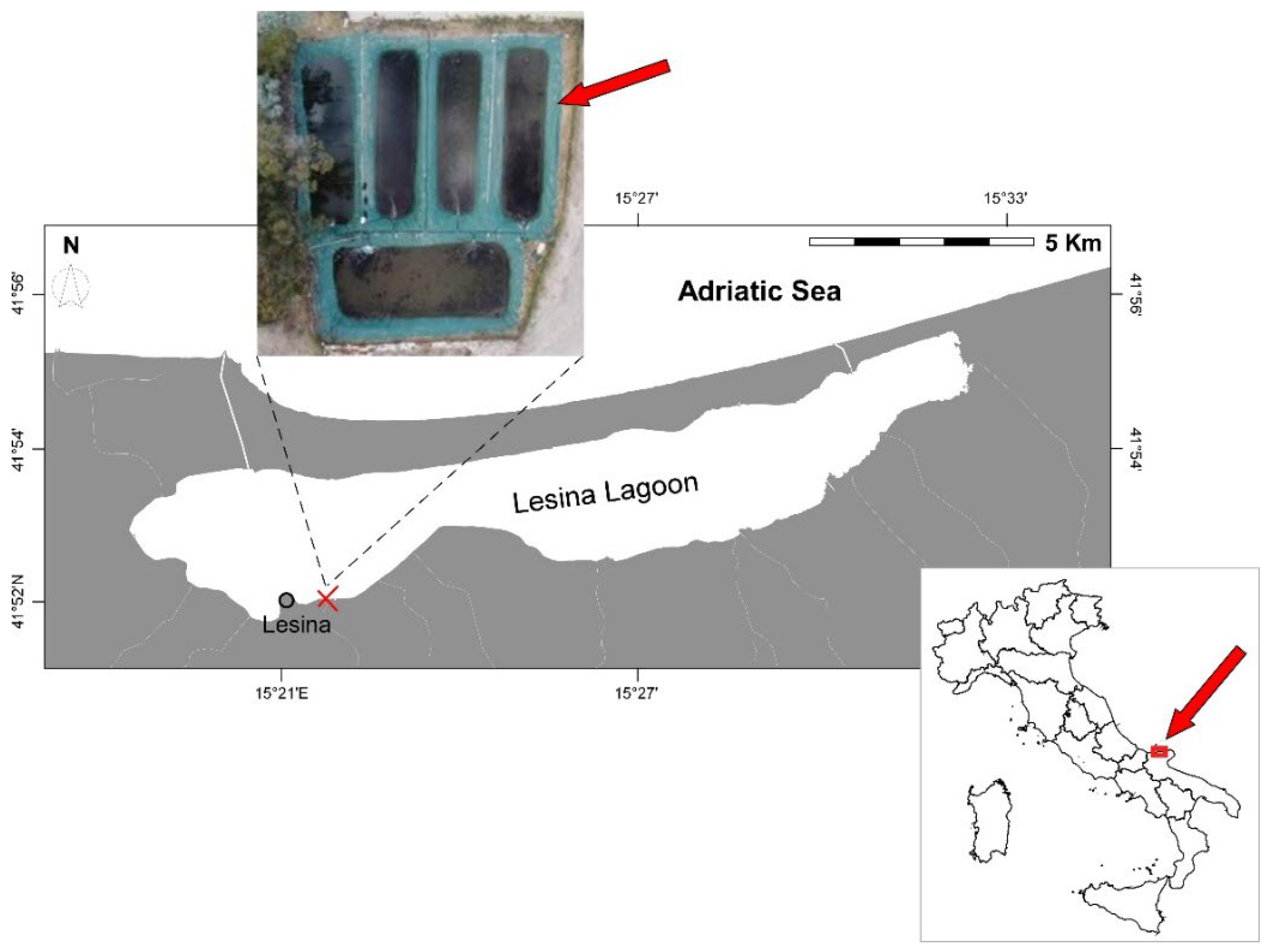Jmse 12 00310 g001 Jmse 12 00310 g001