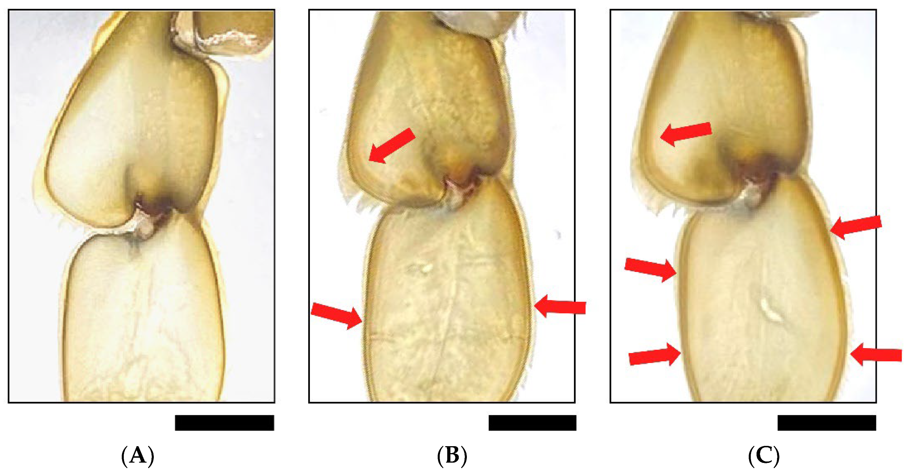 Jmse 12 00310 g003 Jmse 12 00310 g003