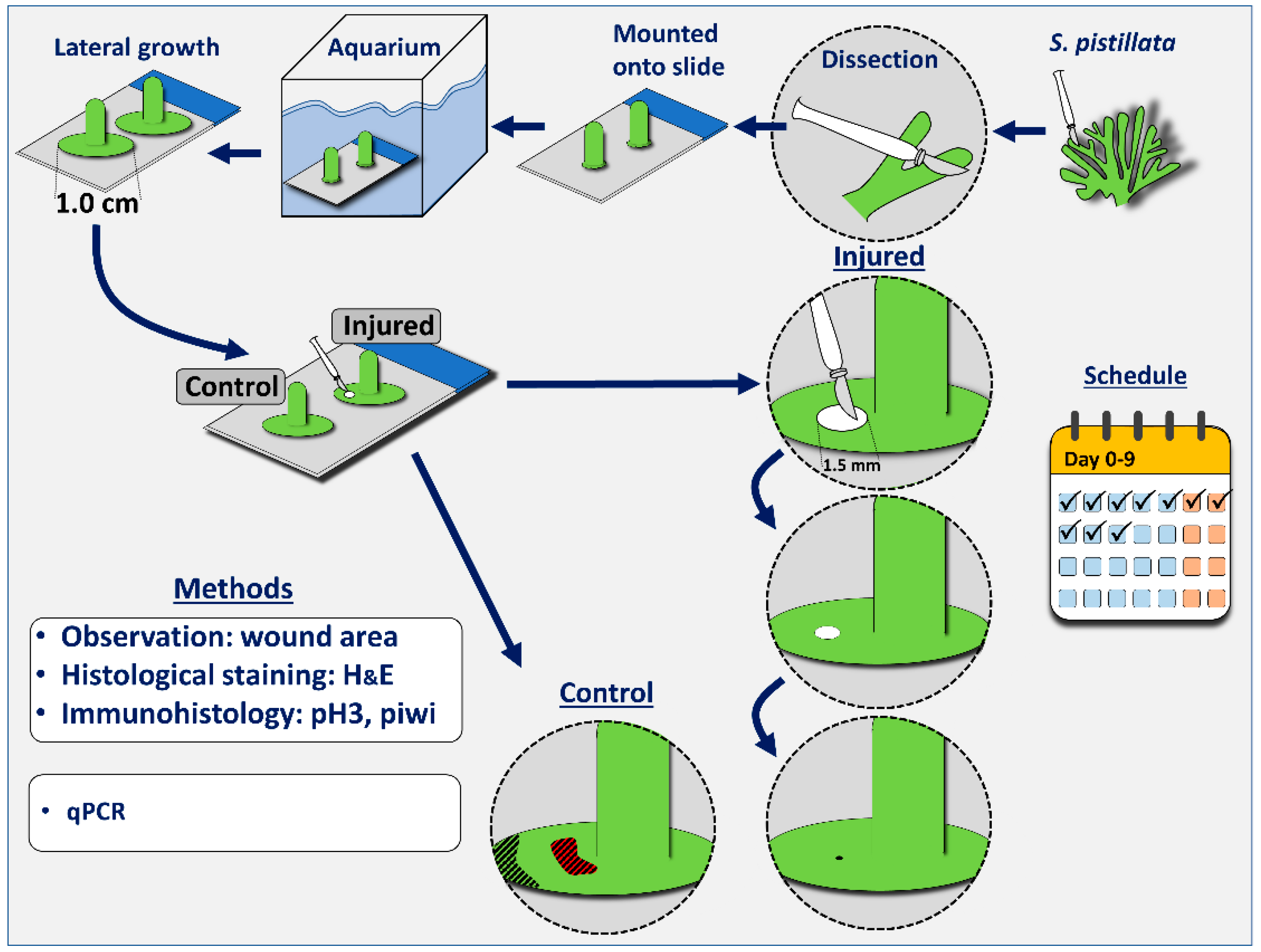 Jmse 12 00343 g001 Jmse 12 00343 g001