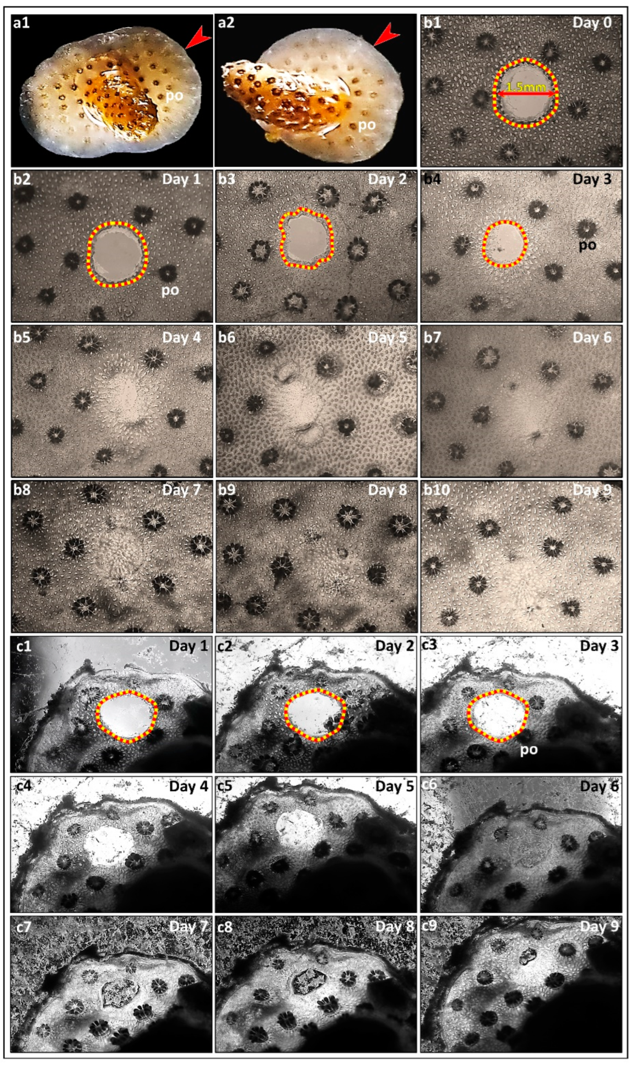 Jmse 12 00343 g002 Jmse 12 00343 g002