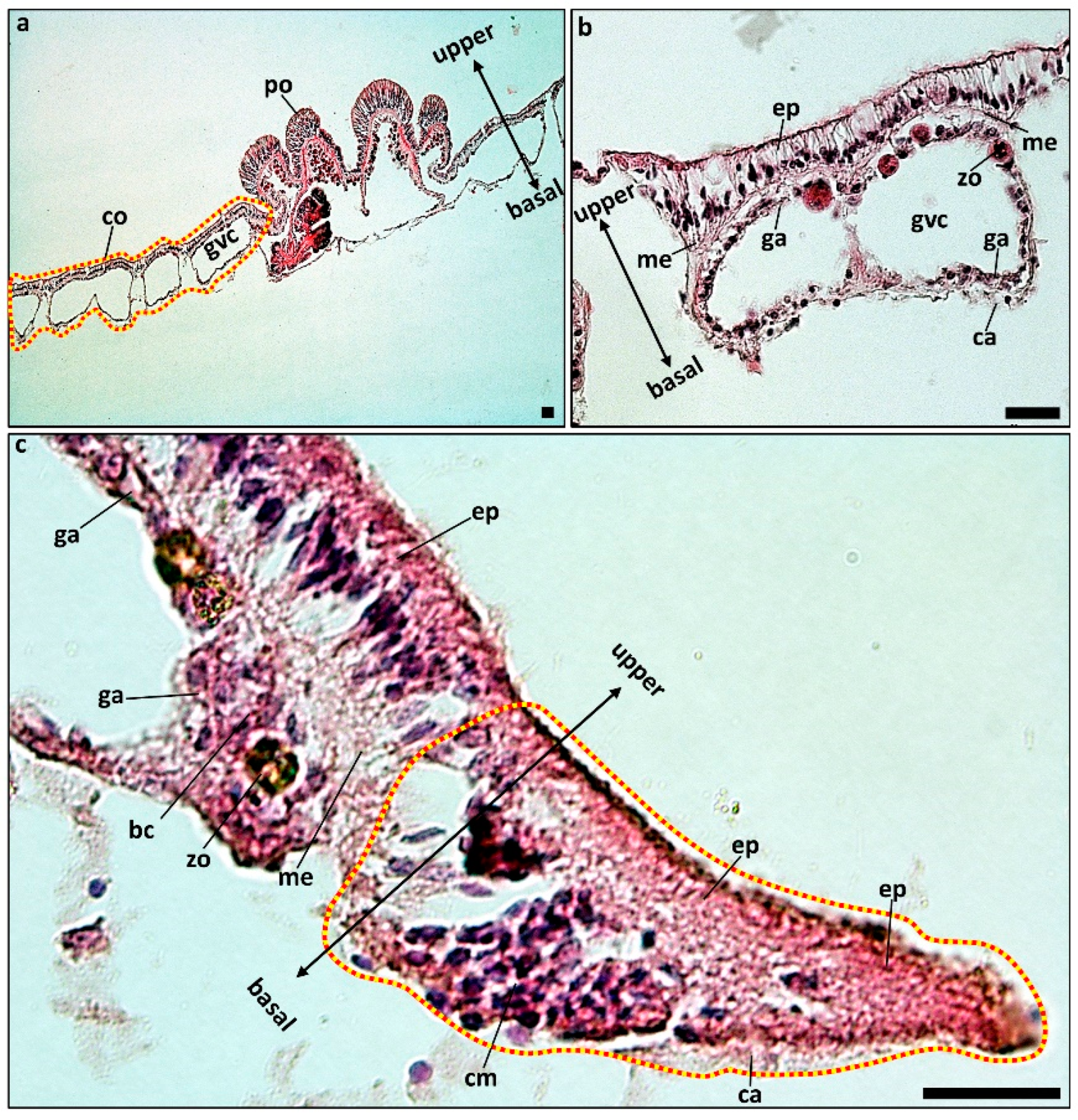Jmse 12 00343 g005 Jmse 12 00343 g005