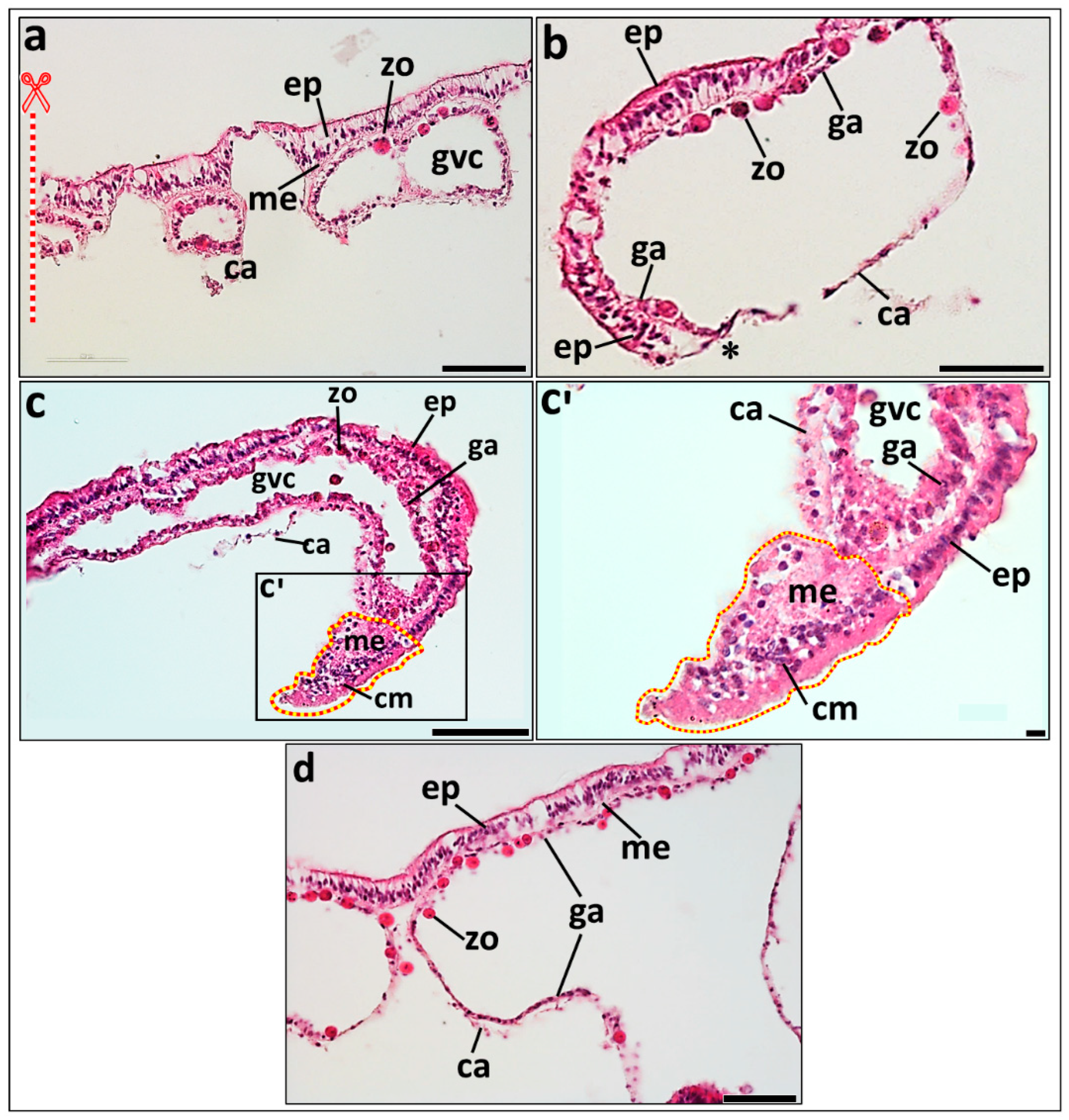 Jmse 12 00343 g006 Jmse 12 00343 g006