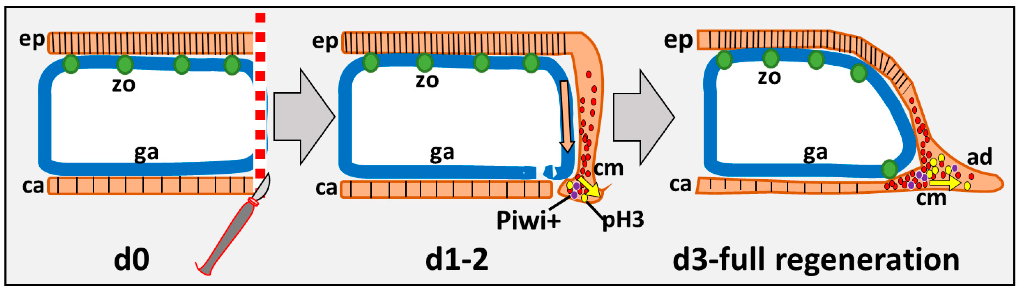 Jmse 12 00343 g009 Jmse 12 00343 g009