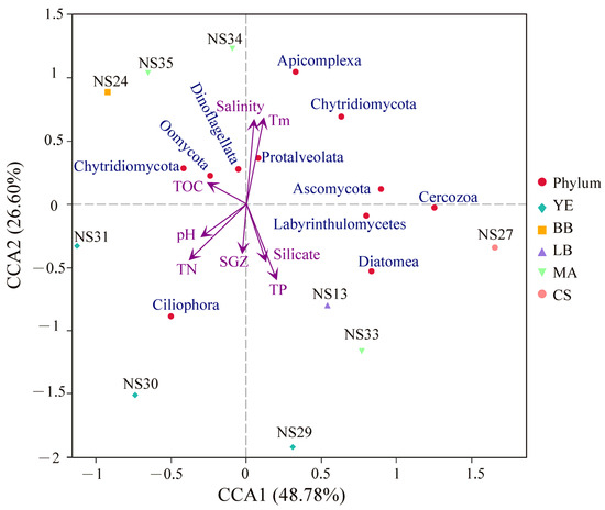 ナ The comprehensive review of eucalyptol: synthesis