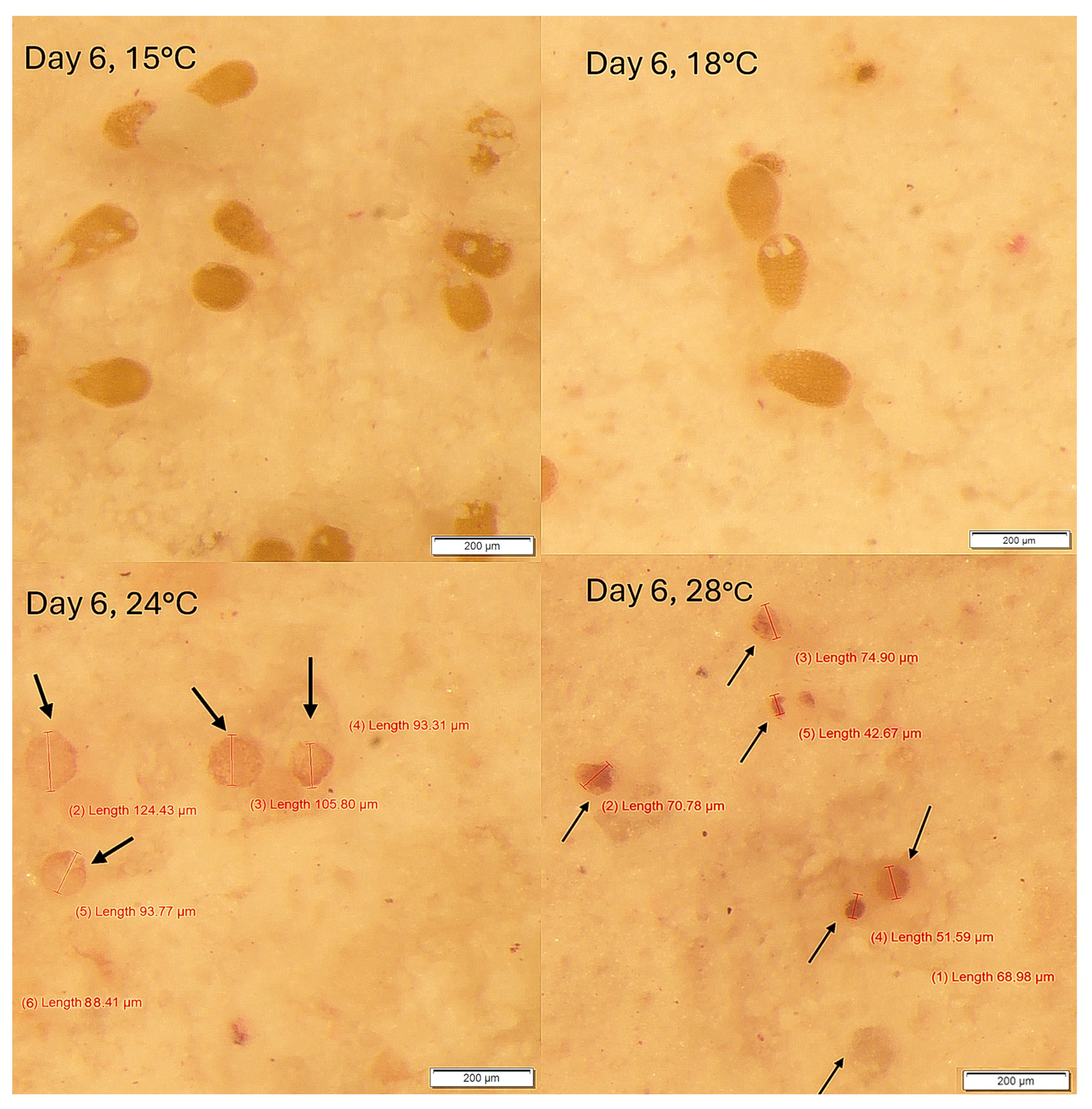 Jmse 12 00514 g007 Jmse 12 00514 g007