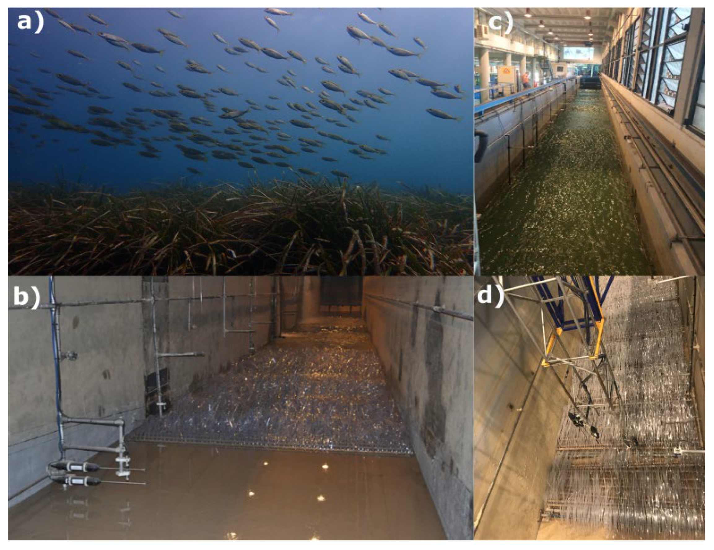 Jmse 12 00569 g001 Jmse 12 00569 g001