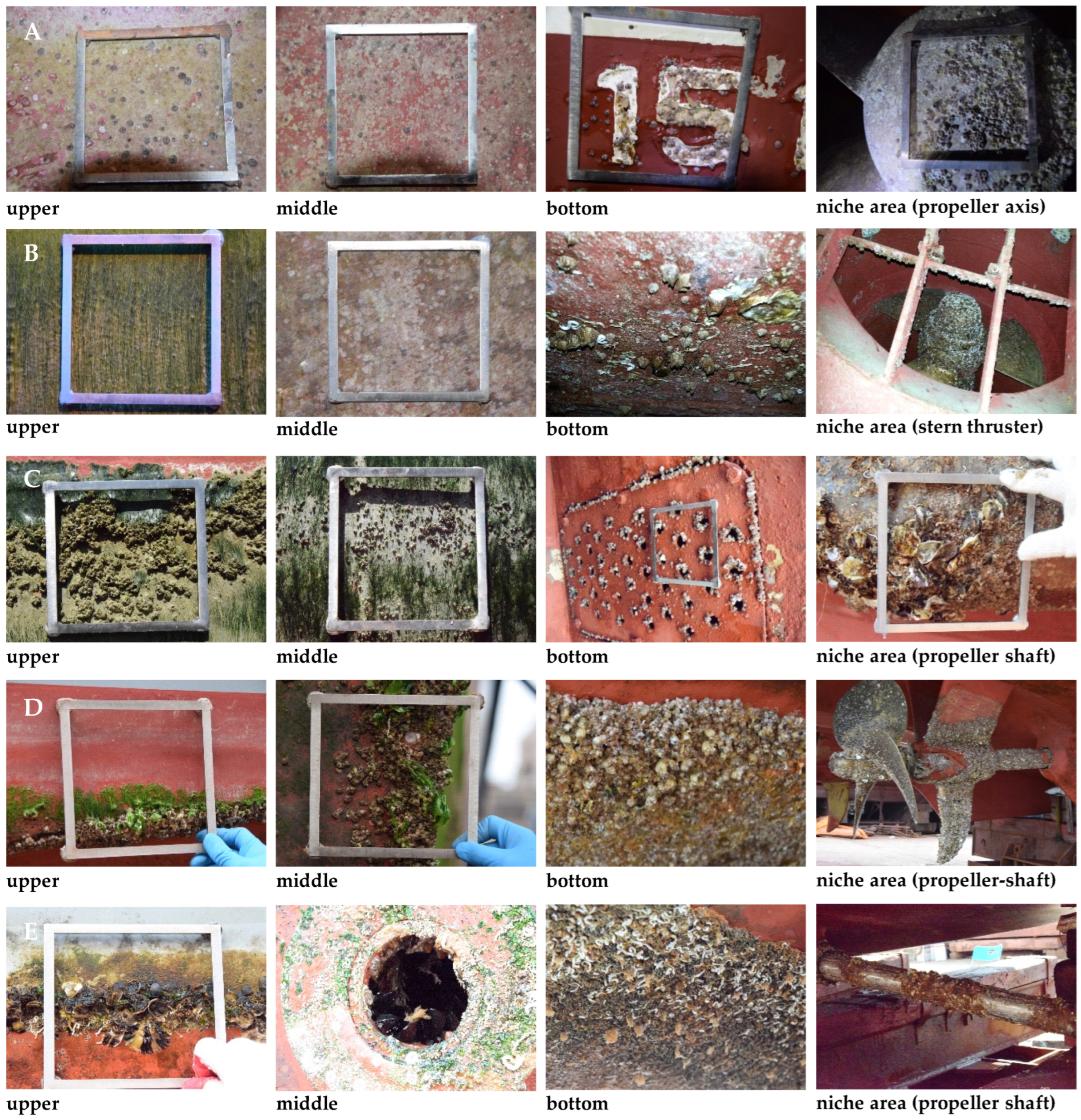 Jmse 12 00613 g002 Jmse 12 00613 g002