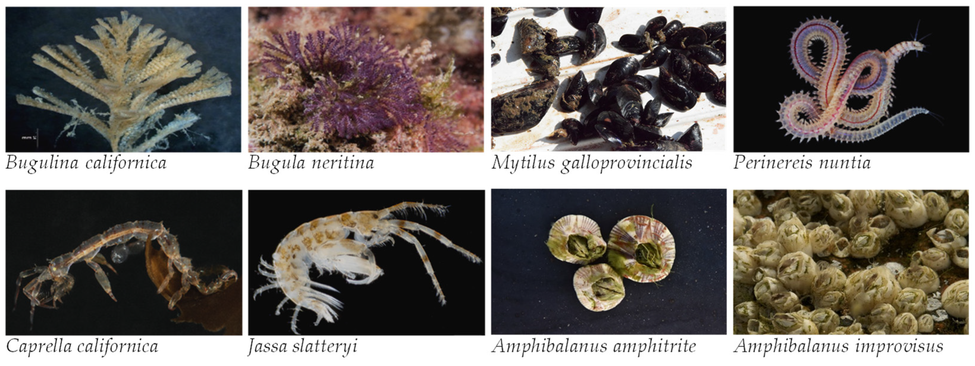 Jmse 12 00613 g013 Jmse 12 00613 g013