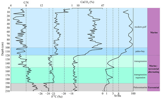 ドラクエ s-l1200.jpg