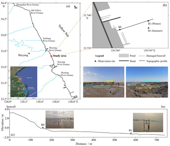 Tidal Flat Erosion Processes and Their Dynamic Mechanisms on