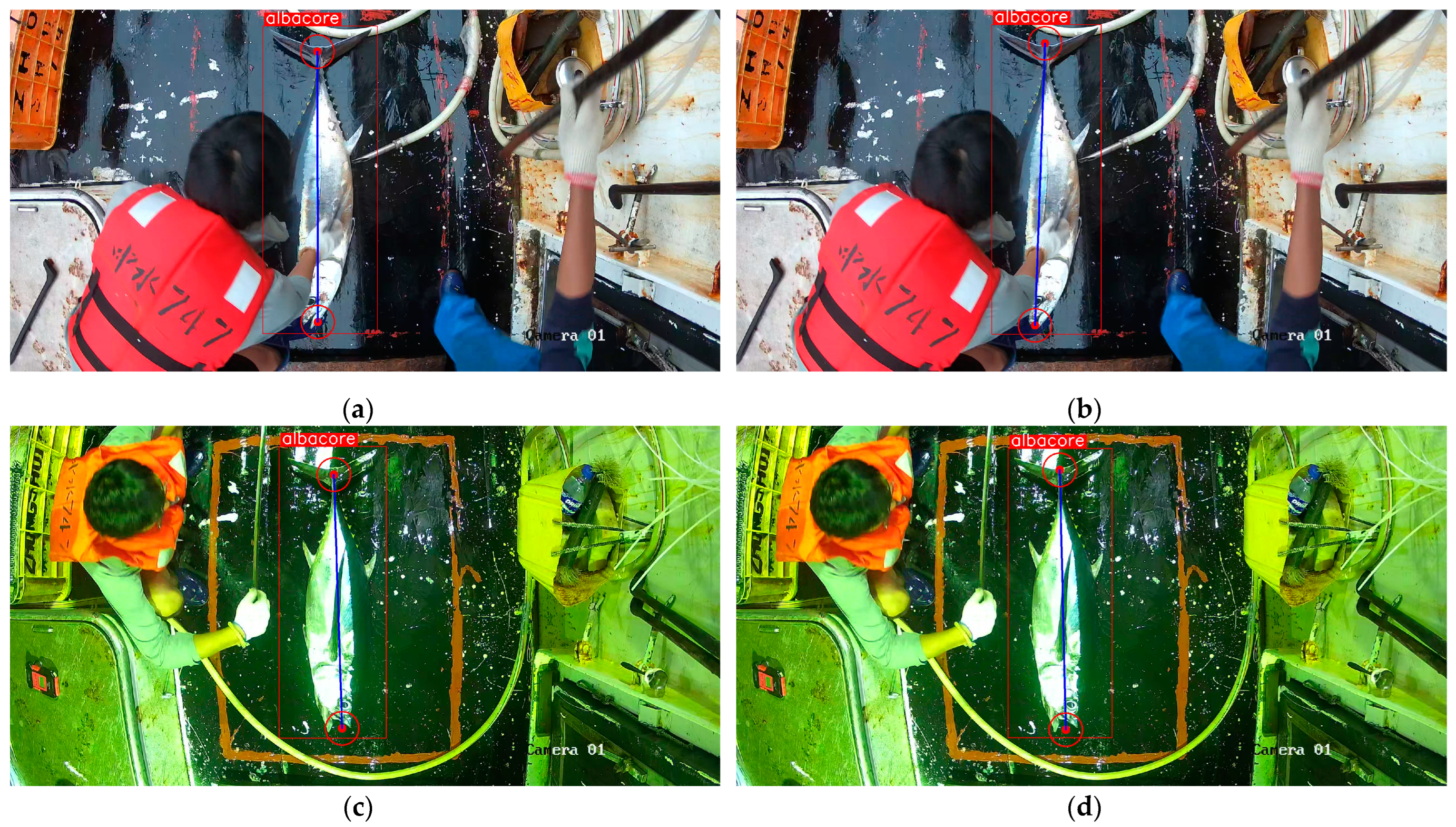 Jmse 12 00784 g010 Jmse 12 00784 g010