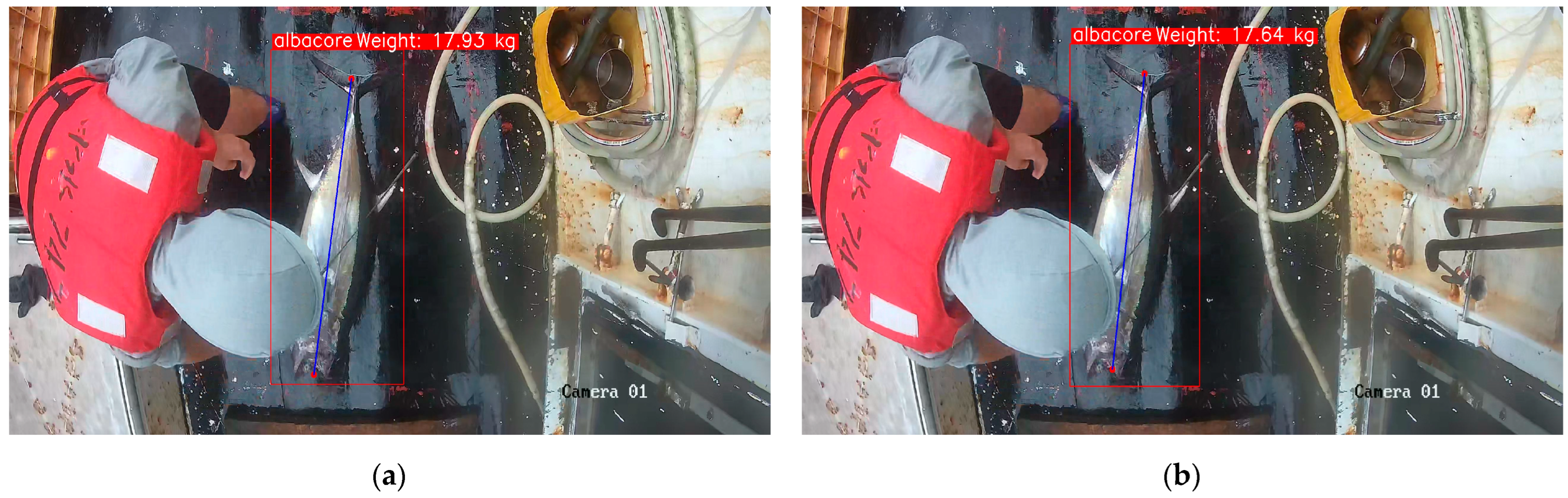 Jmse 12 00784 g011a Jmse 12 00784 g011a