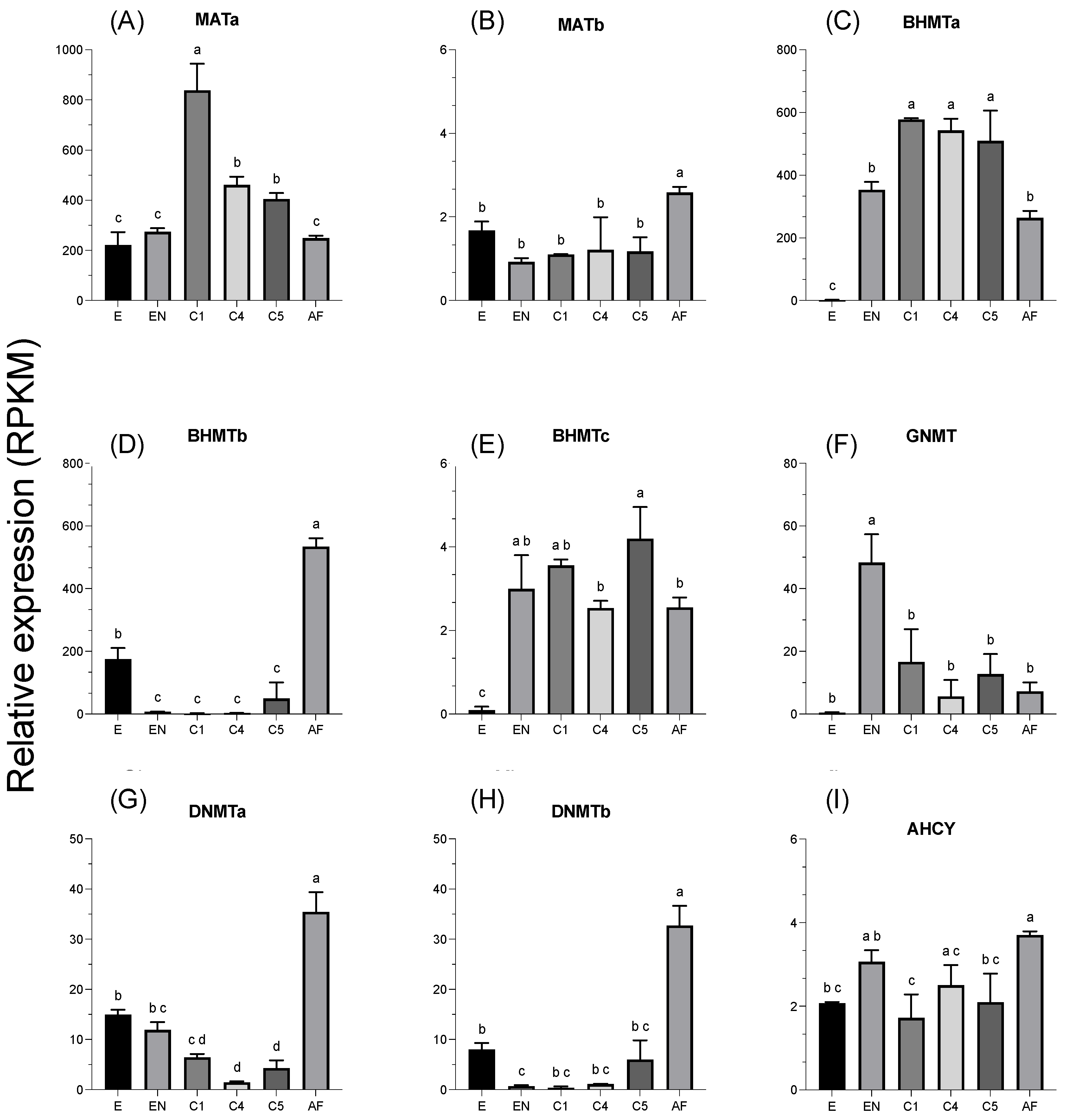 Jmse 12 00786 g005 Jmse 12 00786 g005