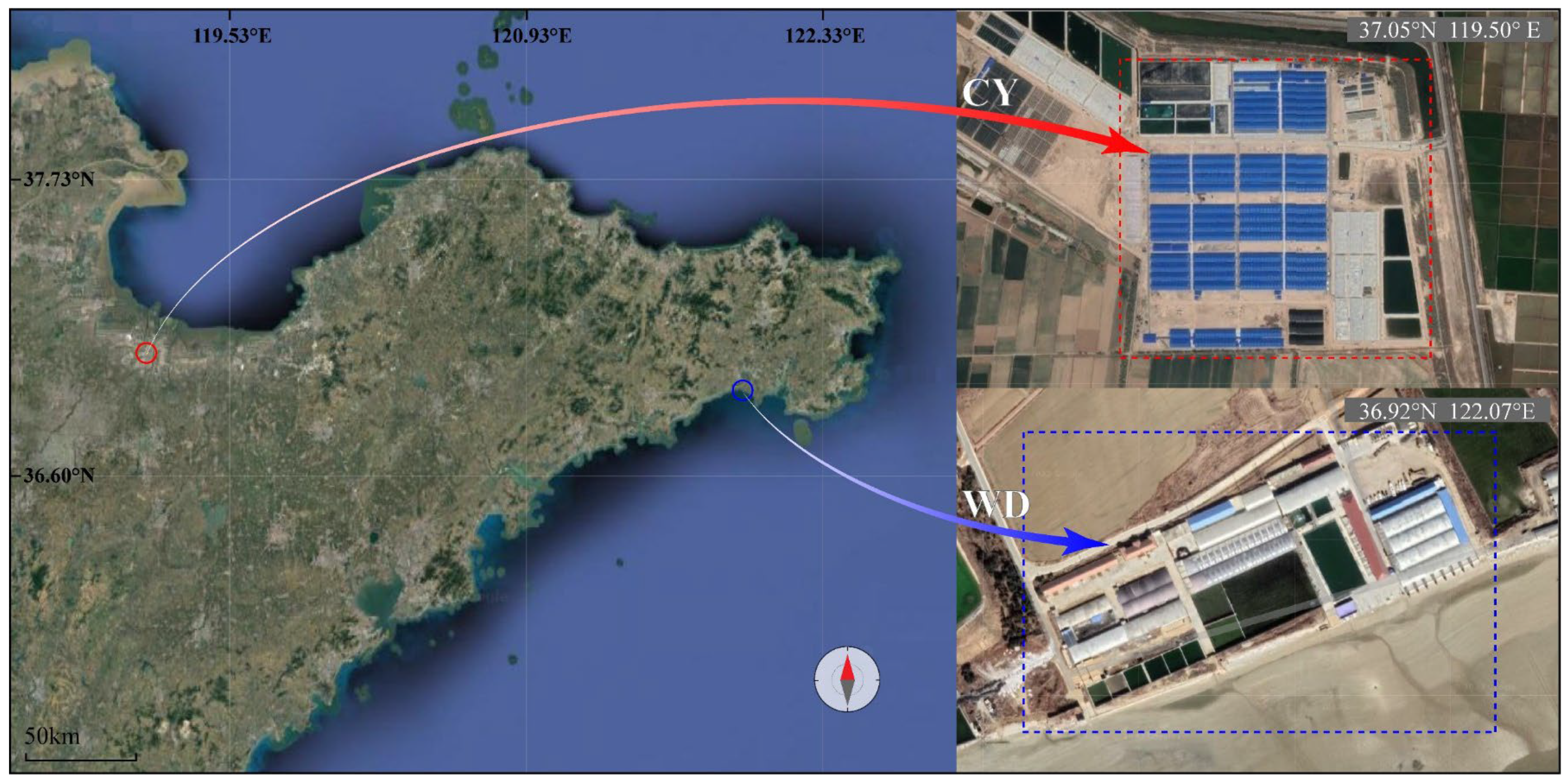 Temporal Variations in Methane Emissions from a Restored