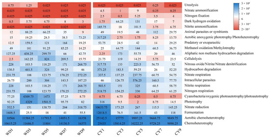 Bacterial Community Characteristics and Roles in Nitrogen