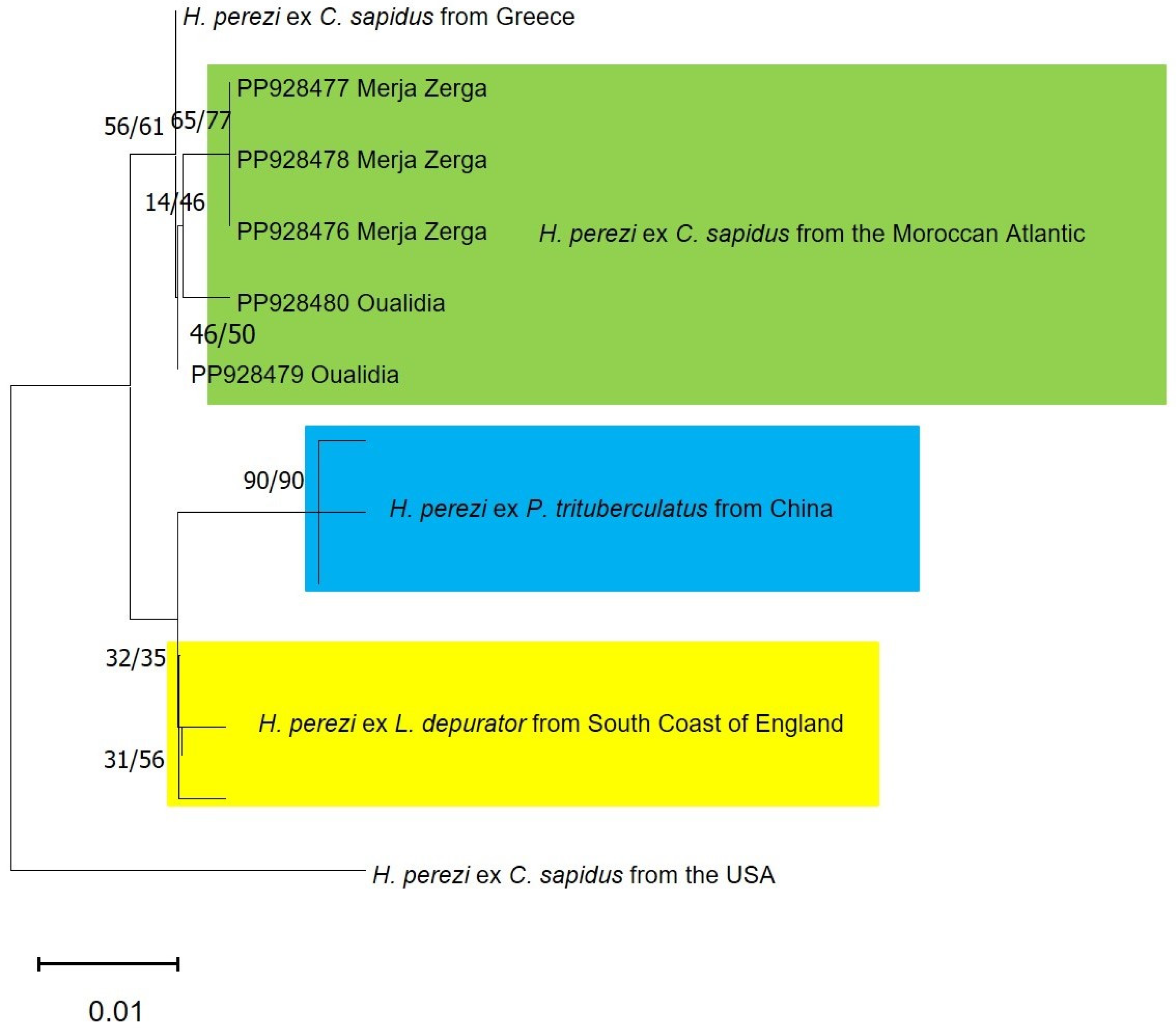 Jmse 12 01045 g003 Jmse 12 01045 g003