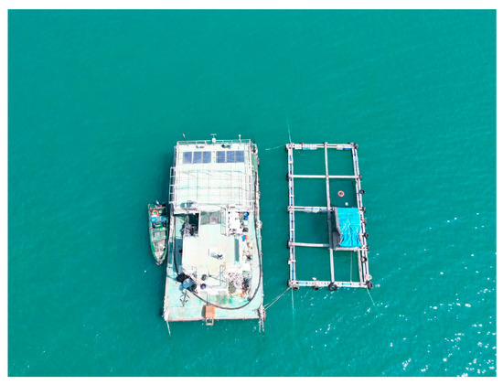 An Experimental Study on Estimating the Quantity of Fish in Cages Based on Image Sonar An Experimental Study on Estimating the Quantity of Fish in Cages Based on Image Sonar