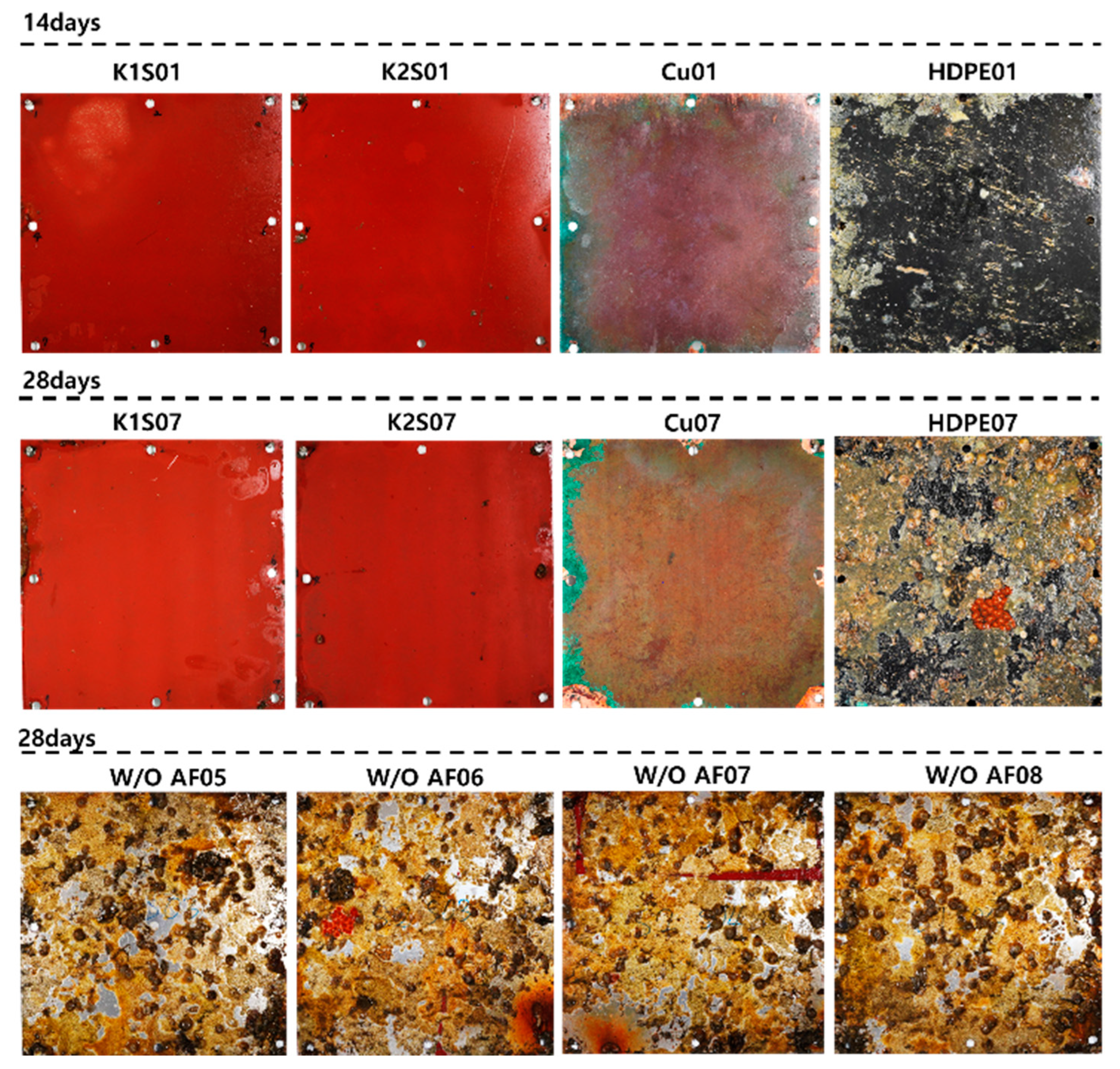 Jmse 12 01086 g011