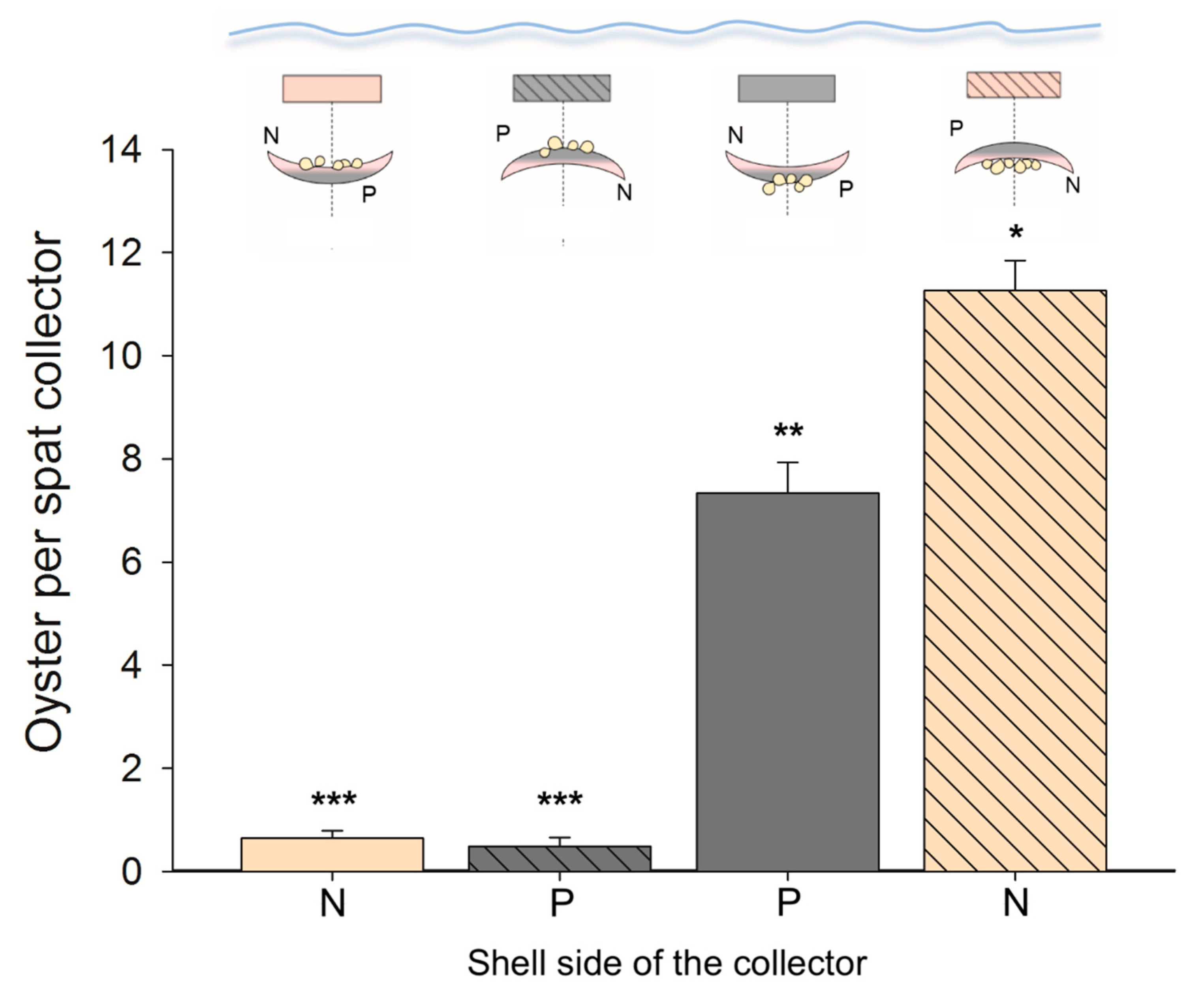 Jmse 12 01148 g003 Jmse 12 01148 g003