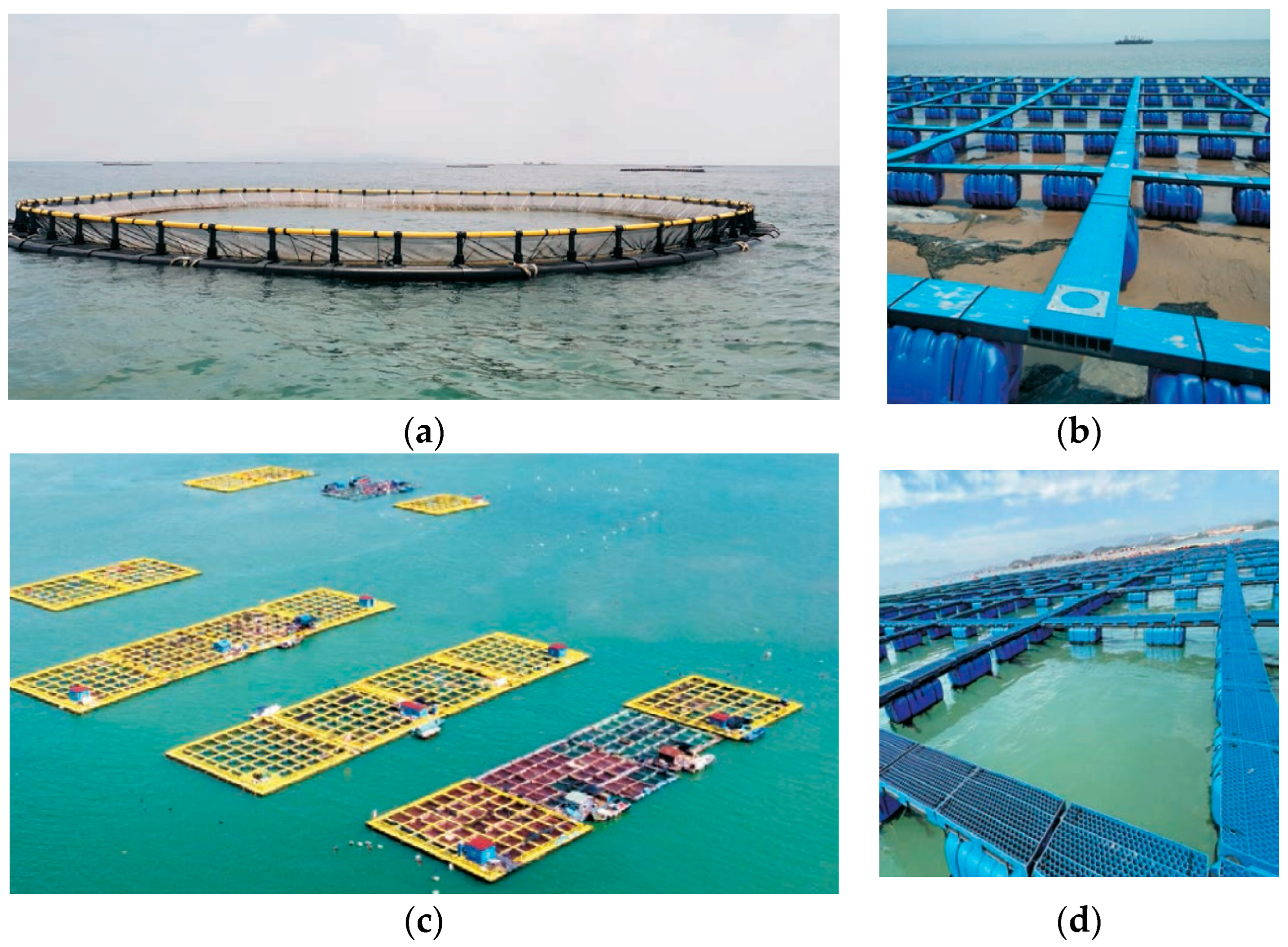 Research on Sea Trial Techniques for Motion Responses of