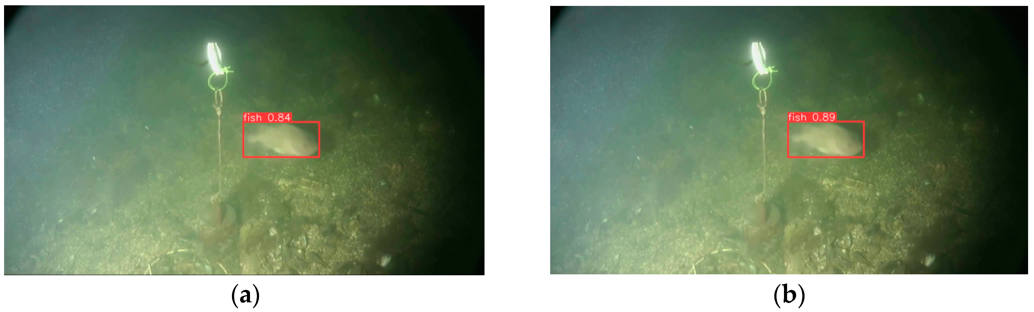Jmse 12 01272 g009a