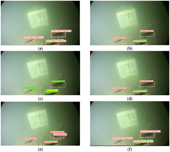 33 さん　専用ページ Identification and characterization of the biosynthetic