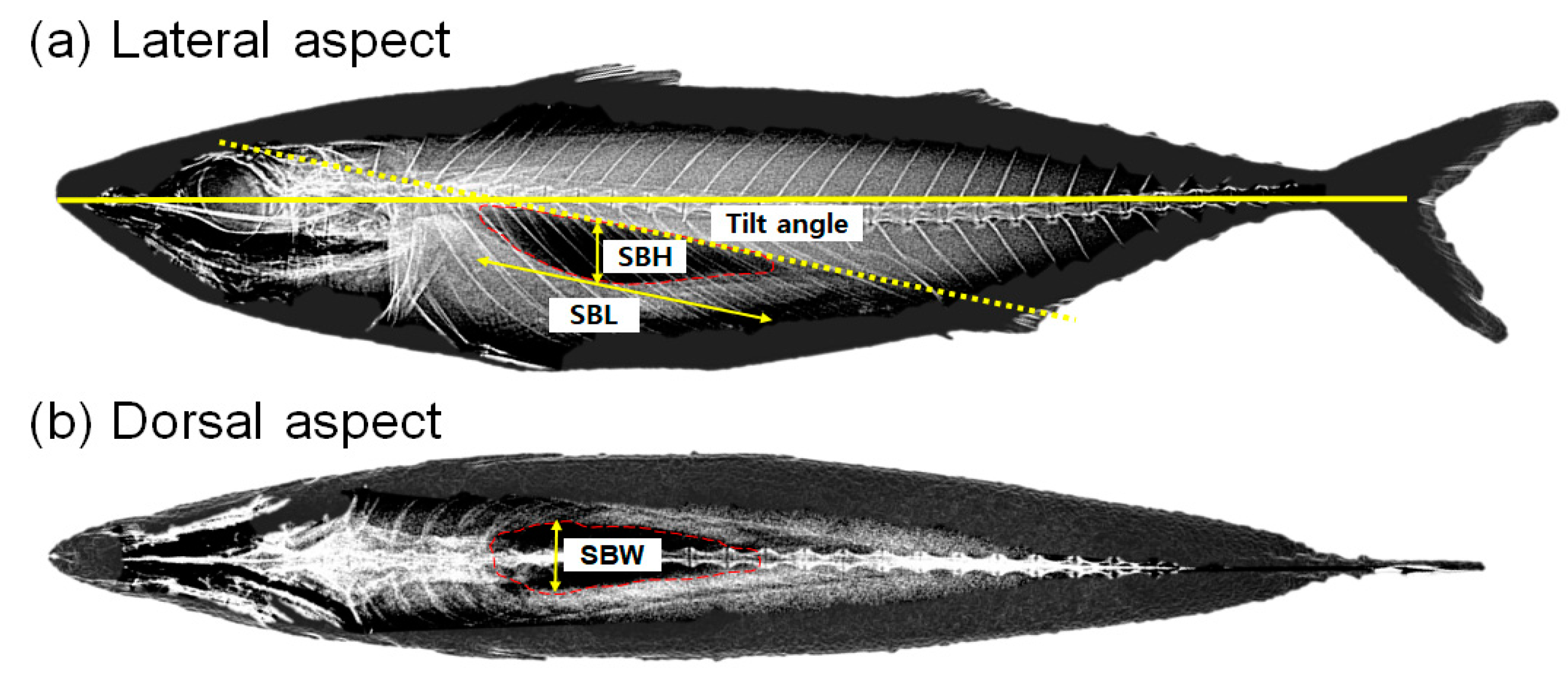 Jmse 12 01500 g002 Jmse 12 01500 g002