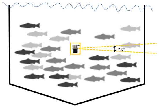 A Method for Estimating the Distribution of Trachinotus