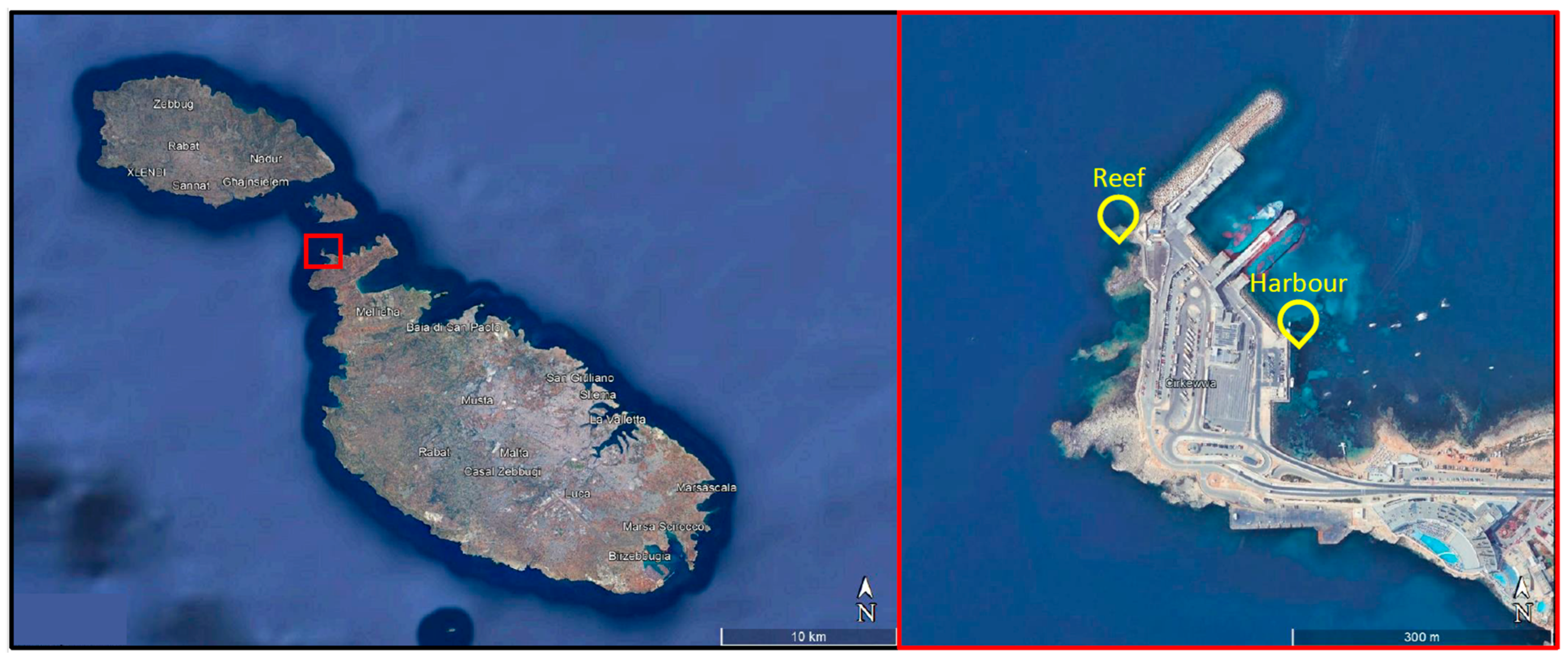 Jmse 12 01602 g001 Jmse 12 01602 g001