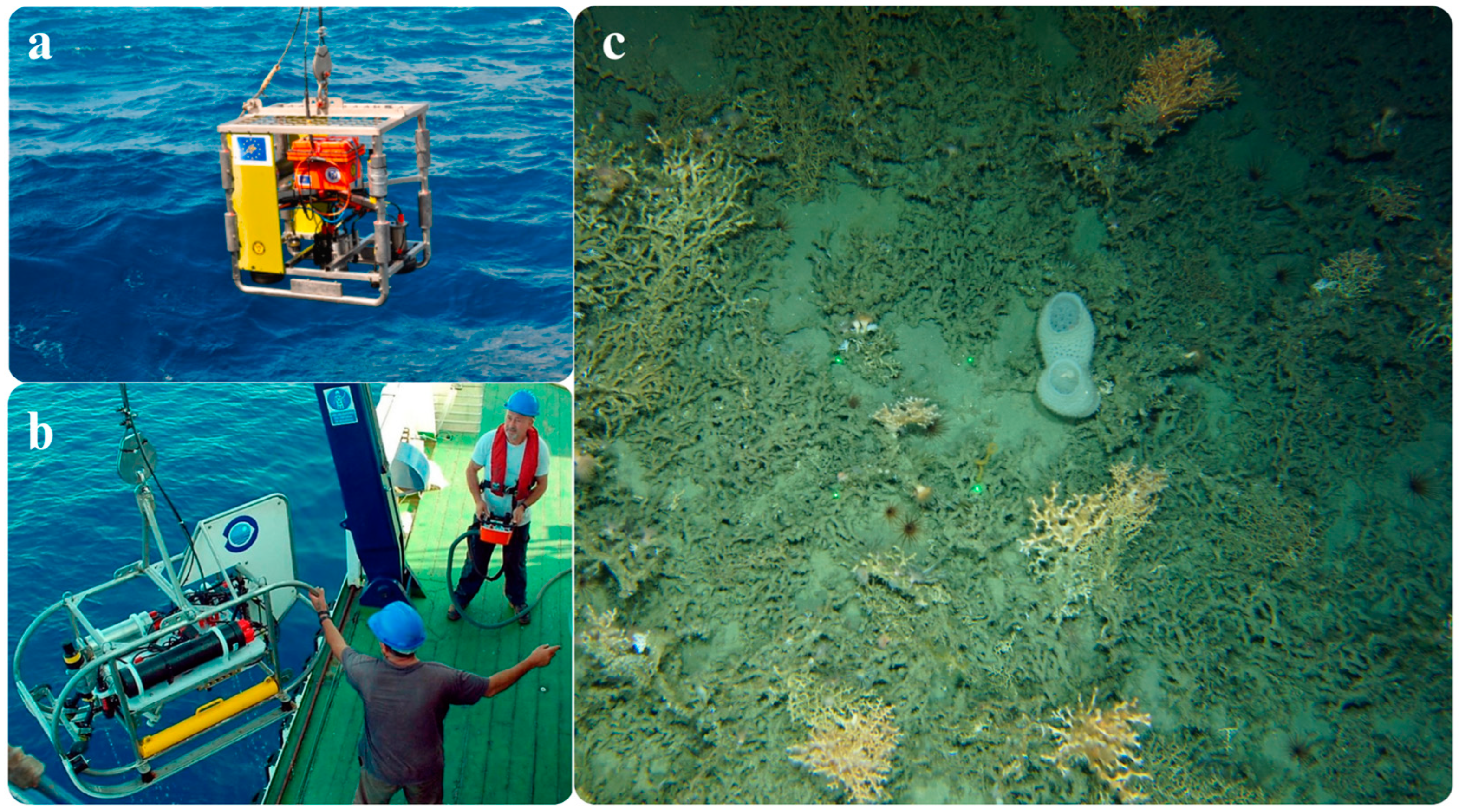 Jmse 12 01617 g002 Jmse 12 01617 g002