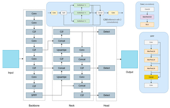 Research on Improved Lightweight Fish Detection Algorithm