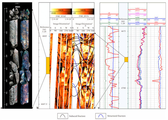 Structure and Evolution of Multi-Trend Faults in BZ19-6