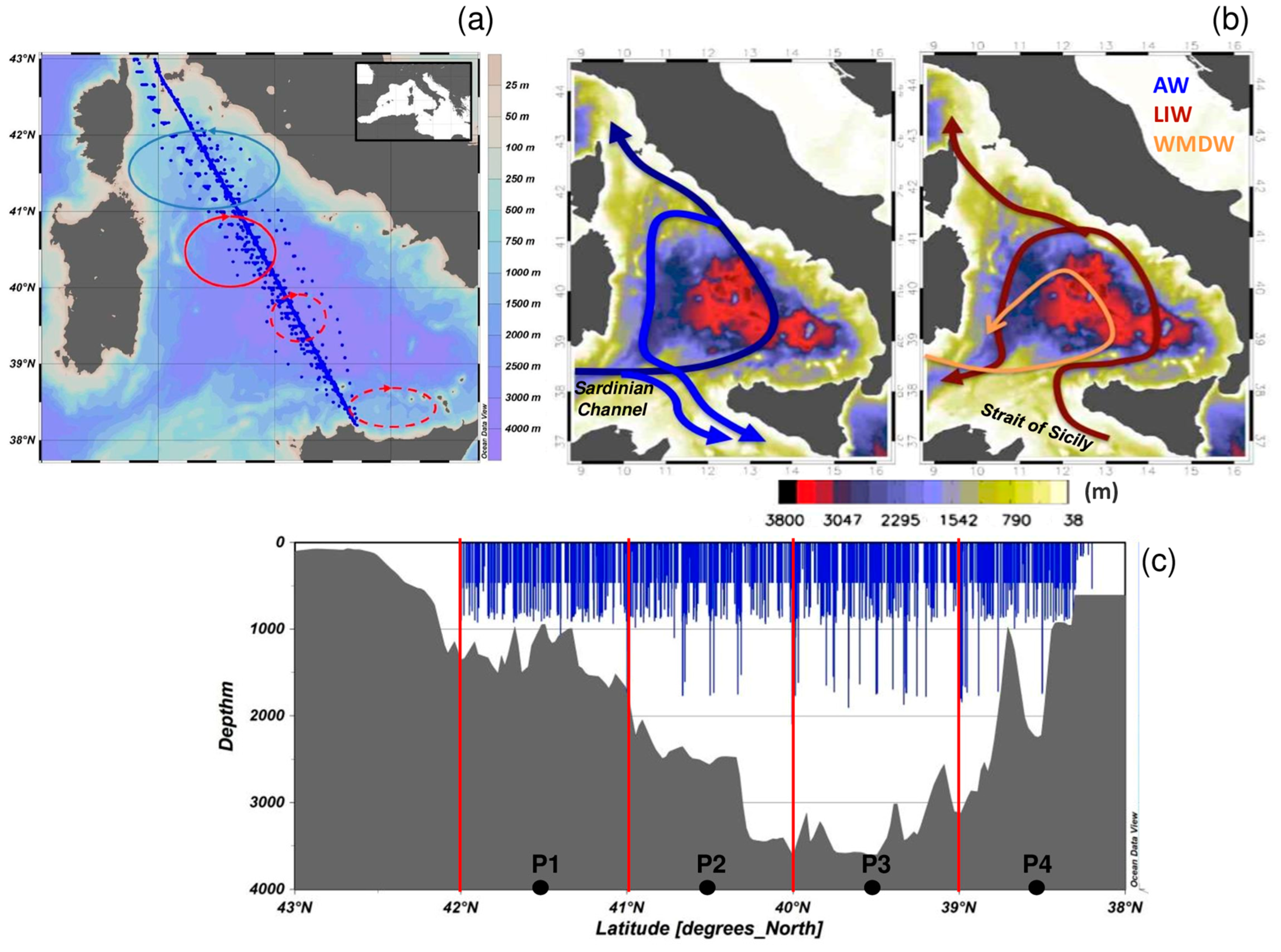 Jmse 12 01756 g001 Jmse 12 01756 g001