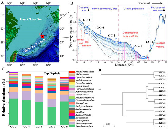 シークエンス4+ Adidas Brings the ZX 8000 to the Golf Course with Gore-Tex