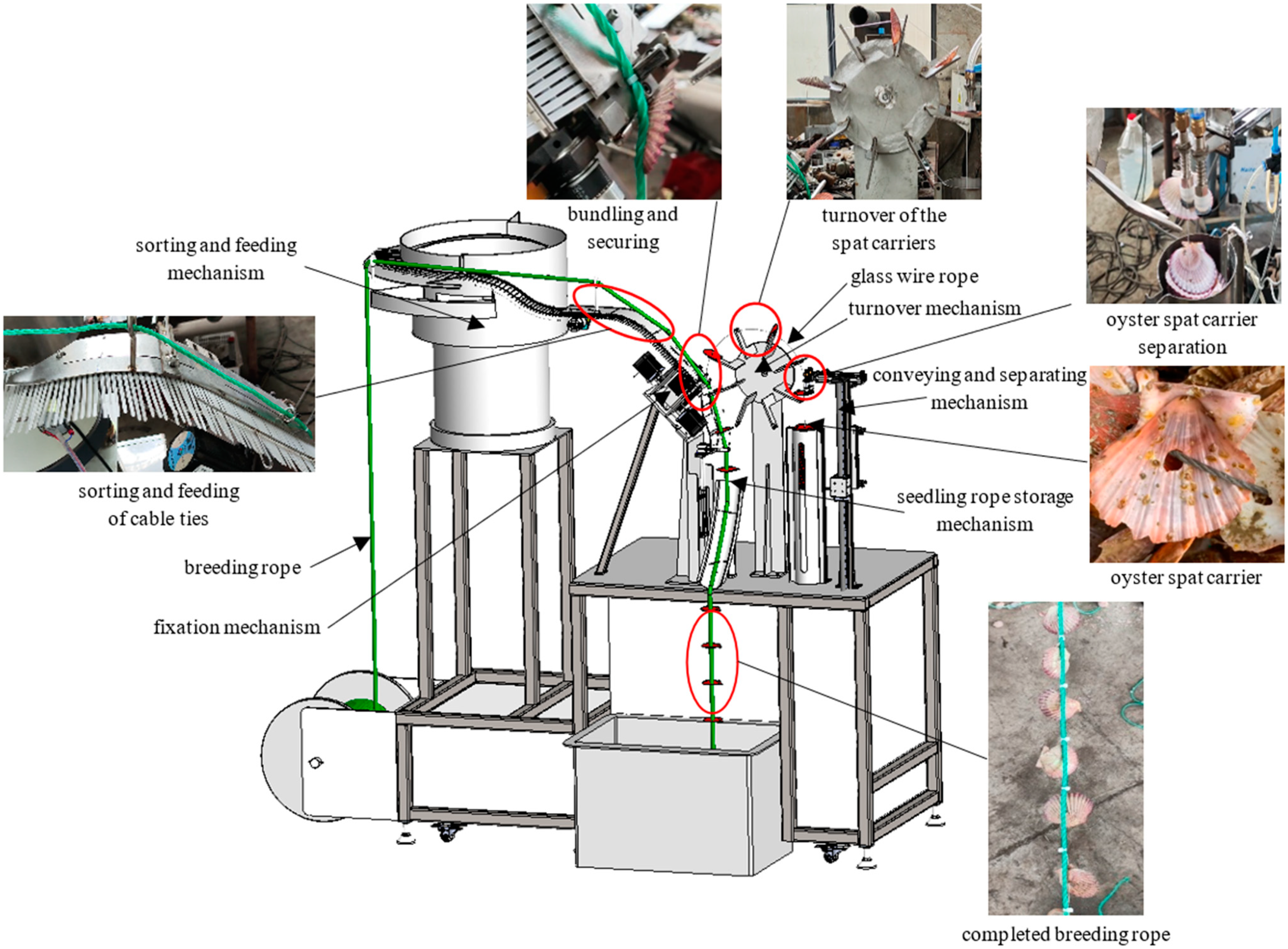 特別オファー Design and Automated an of Optimization Experimental その他
