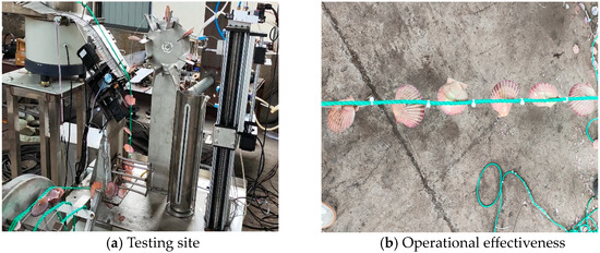 Design and Experimental Optimization of an Automated