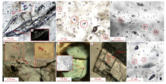 Formation Mechanism and Petroleum Geological Significance of Formation Mechanism and Petroleum Geological Significance of