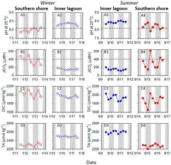 The Role of Benthic TA and DIC Fluxes on Carbon Sequestration in ...