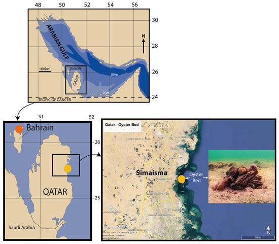 The Impact of Increasing Seawater Temperatures over the Last 30 