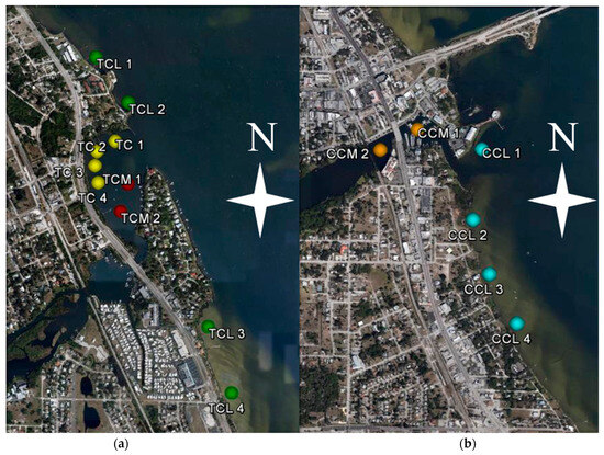 The Association of Benthic Infauna with Fine-Grained Organic-Rich 