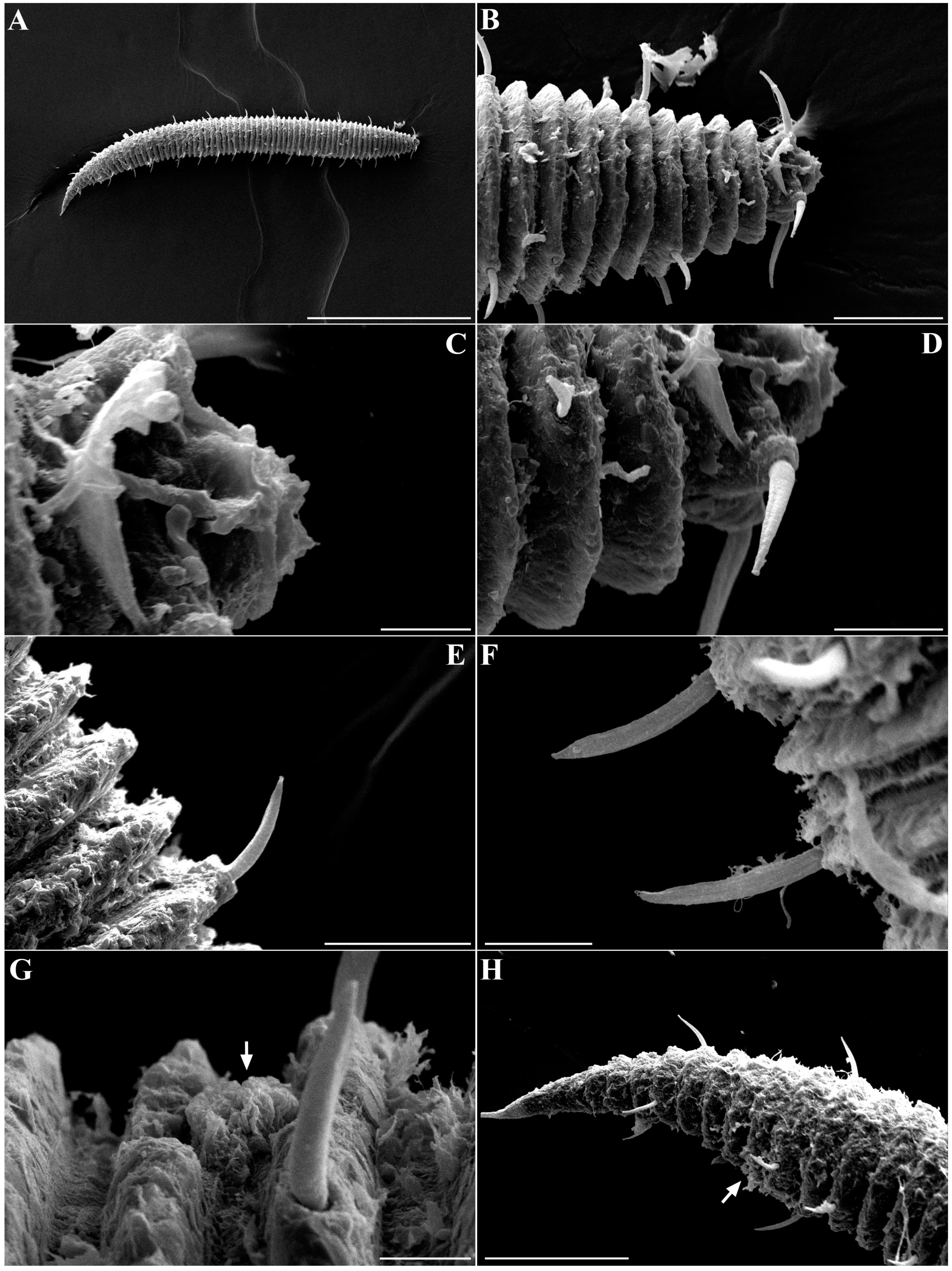 Jmse 12 02310 g012