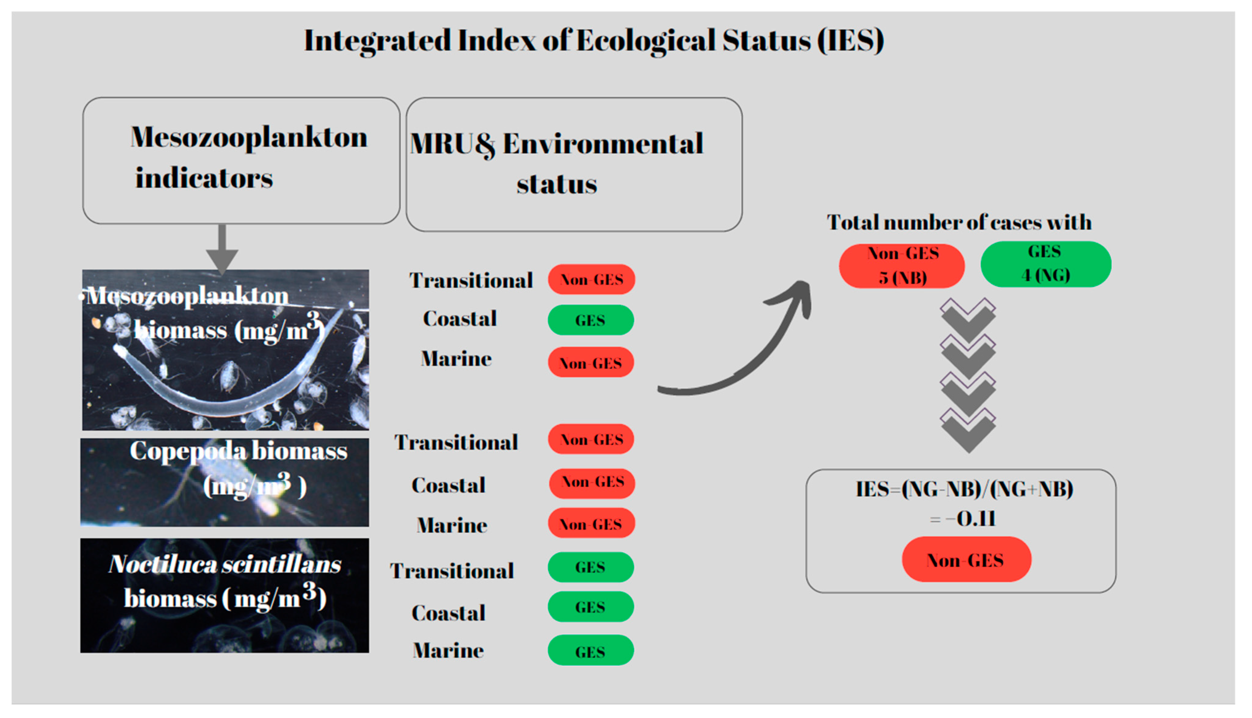 Jmse 13 00067 g023 Jmse 13 00067 g023