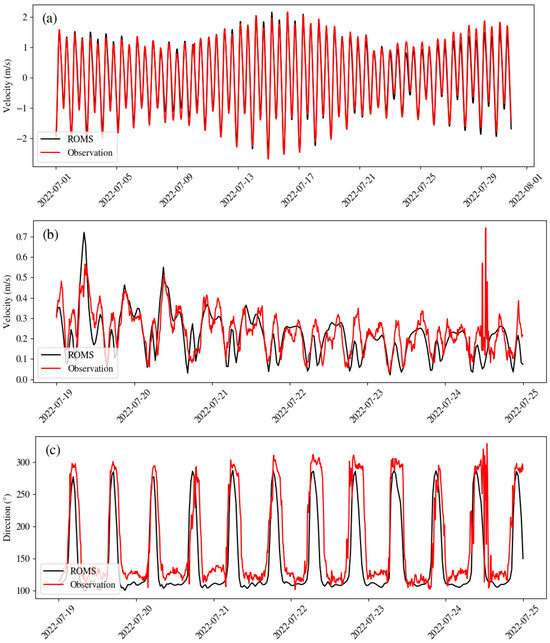 Evaluation of the Hydrodynamic Impacts of Tidal Turbine