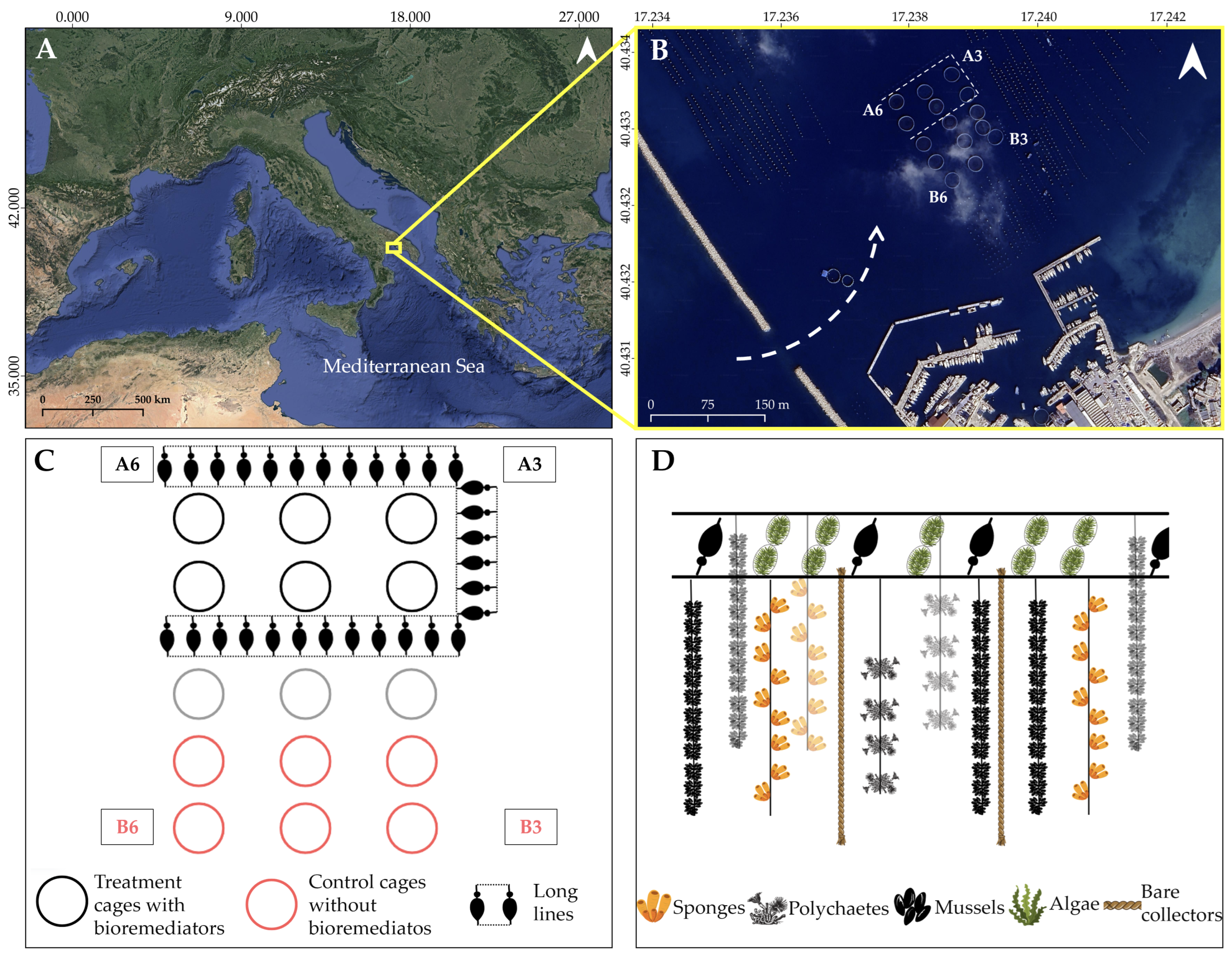 Jmse 13 00143 g001 Jmse 13 00143 g001