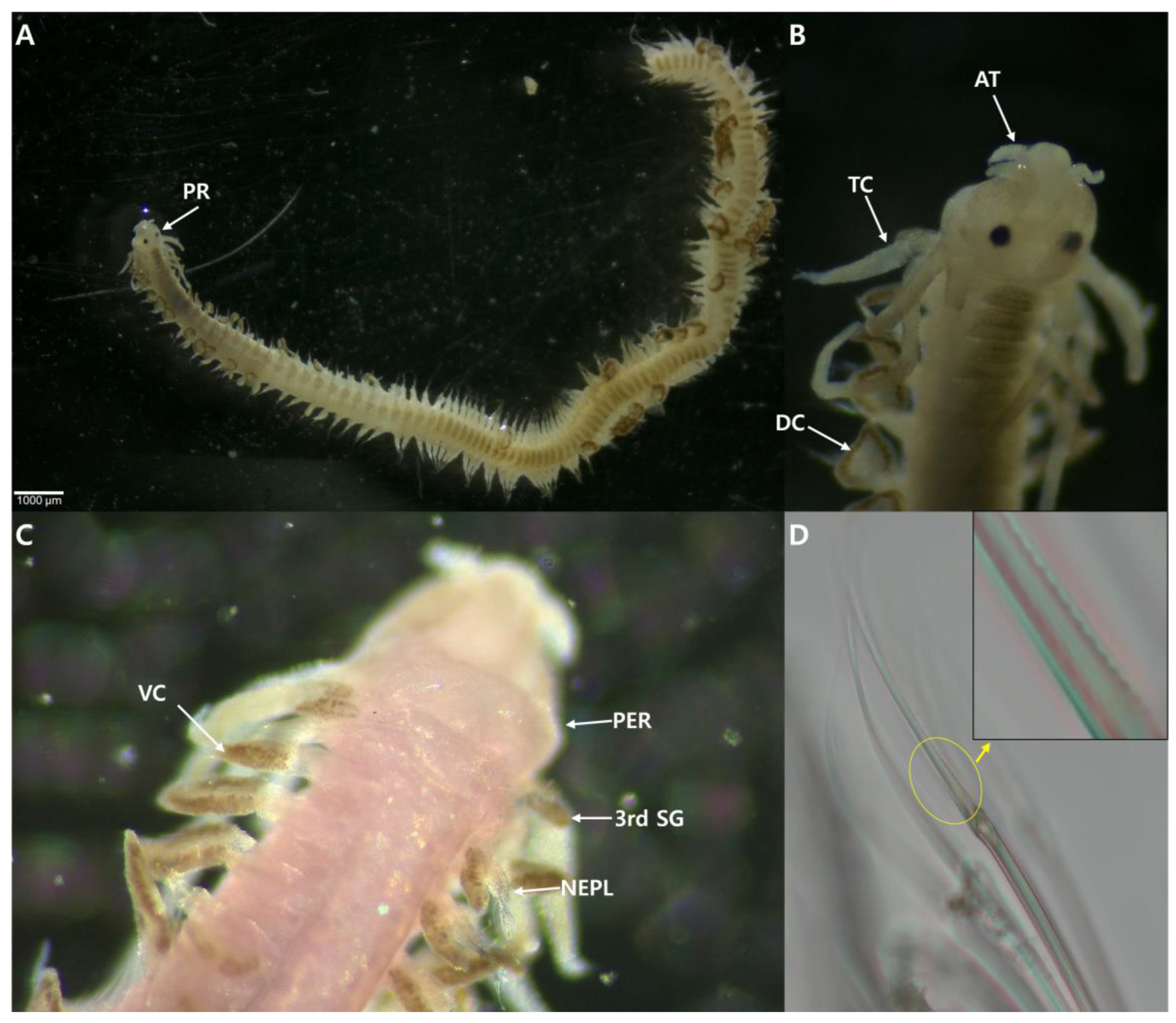 Jmse 13 00223 g002 Jmse 13 00223 g002