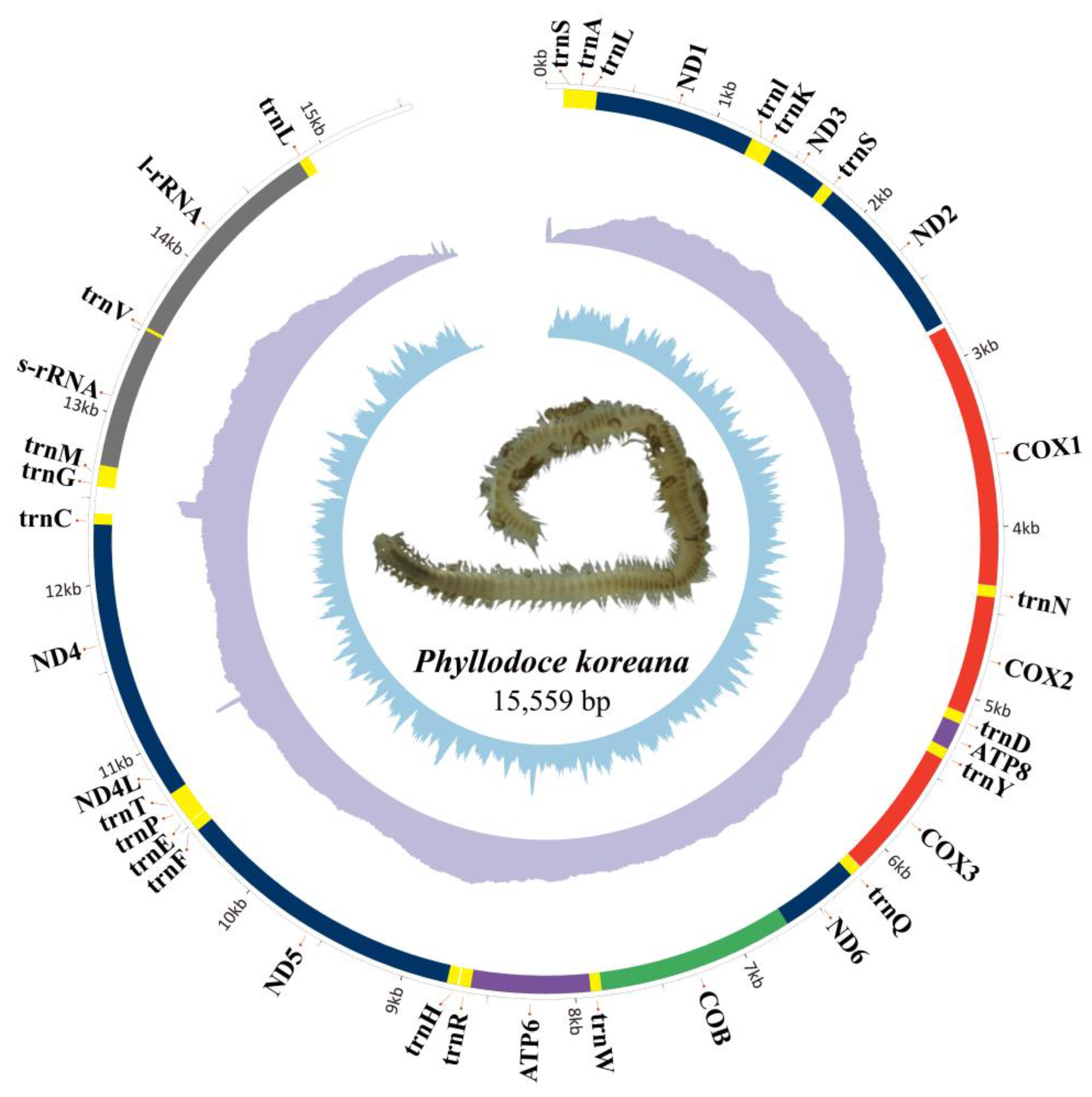 Jmse 13 00223 g003 Jmse 13 00223 g003